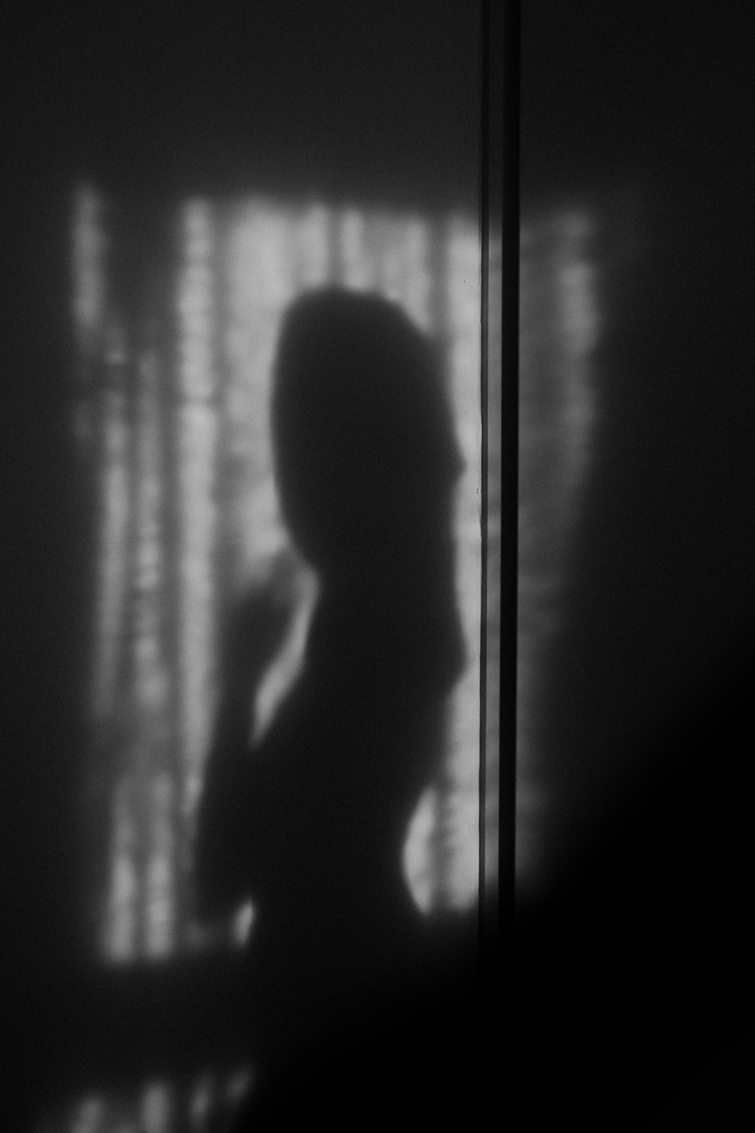 Photographic diary (February) 