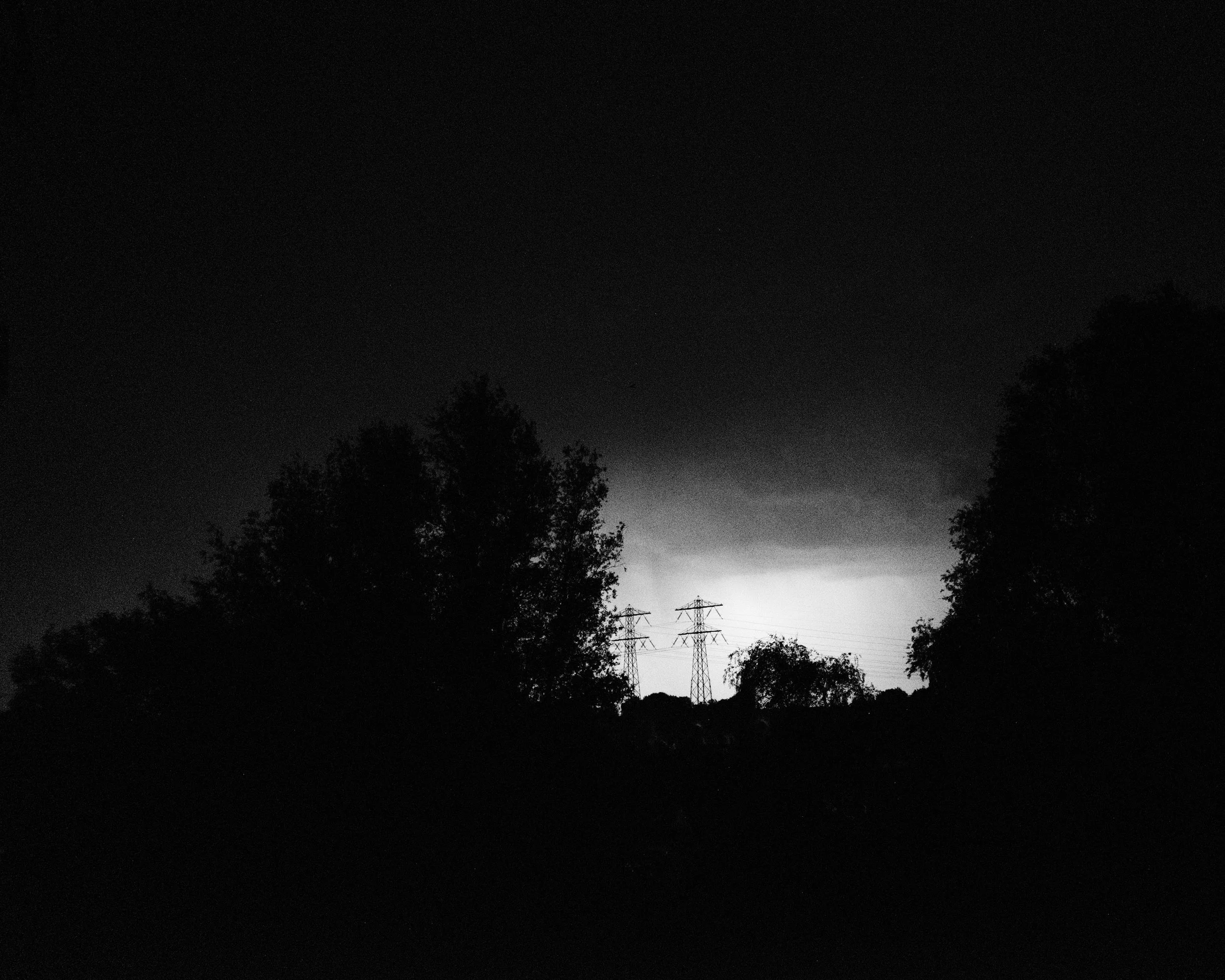 Photographic diary (June) 