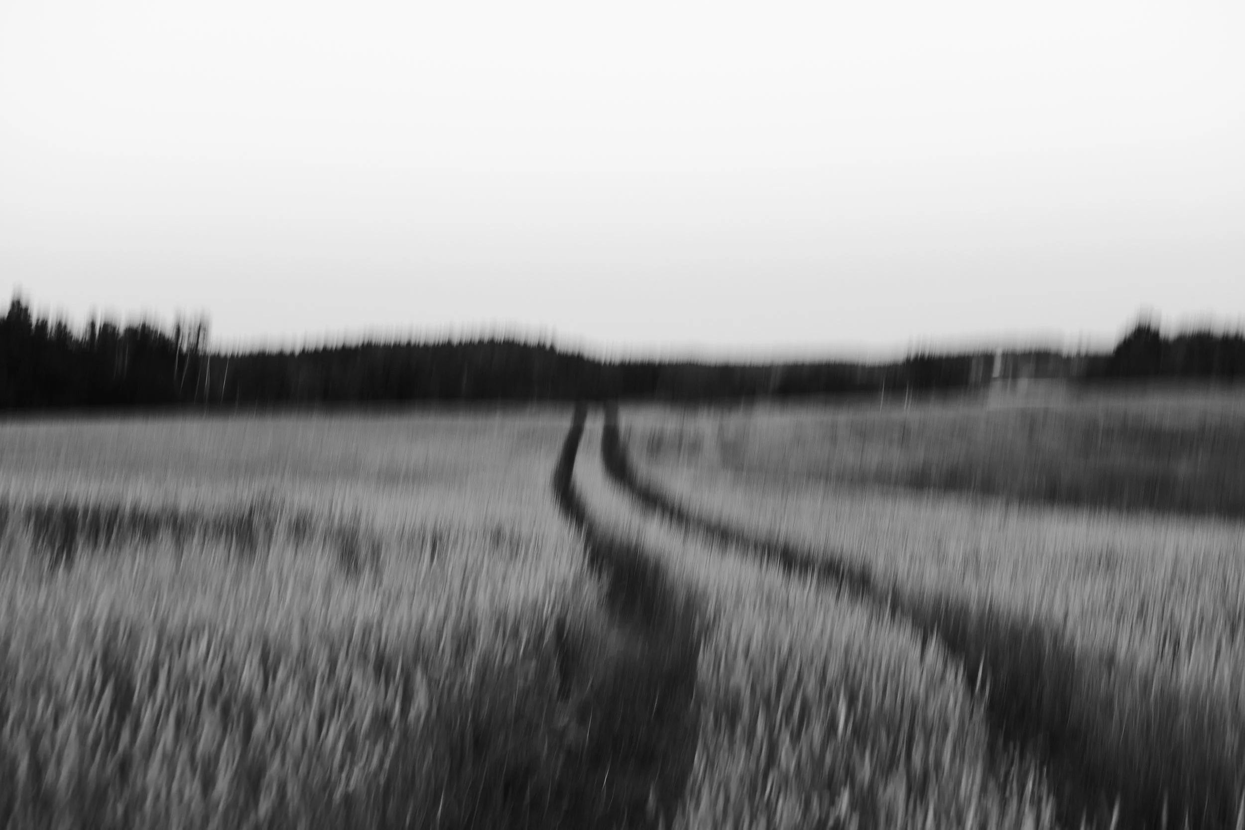 Photographic diary (July) 