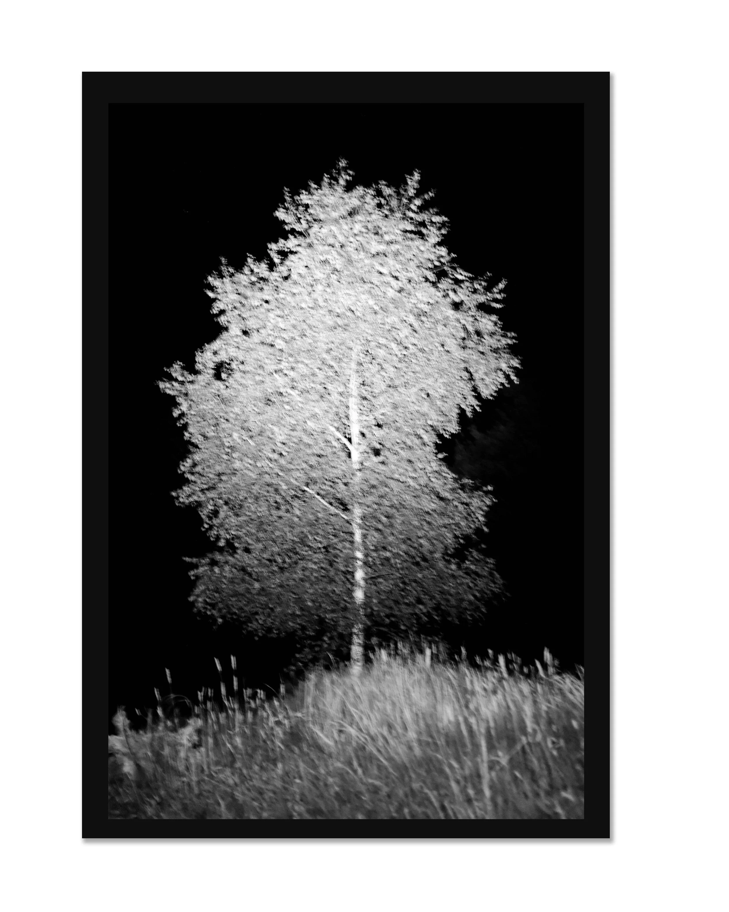 FOR JORIS (2023) 20x25  9 +  2 AP