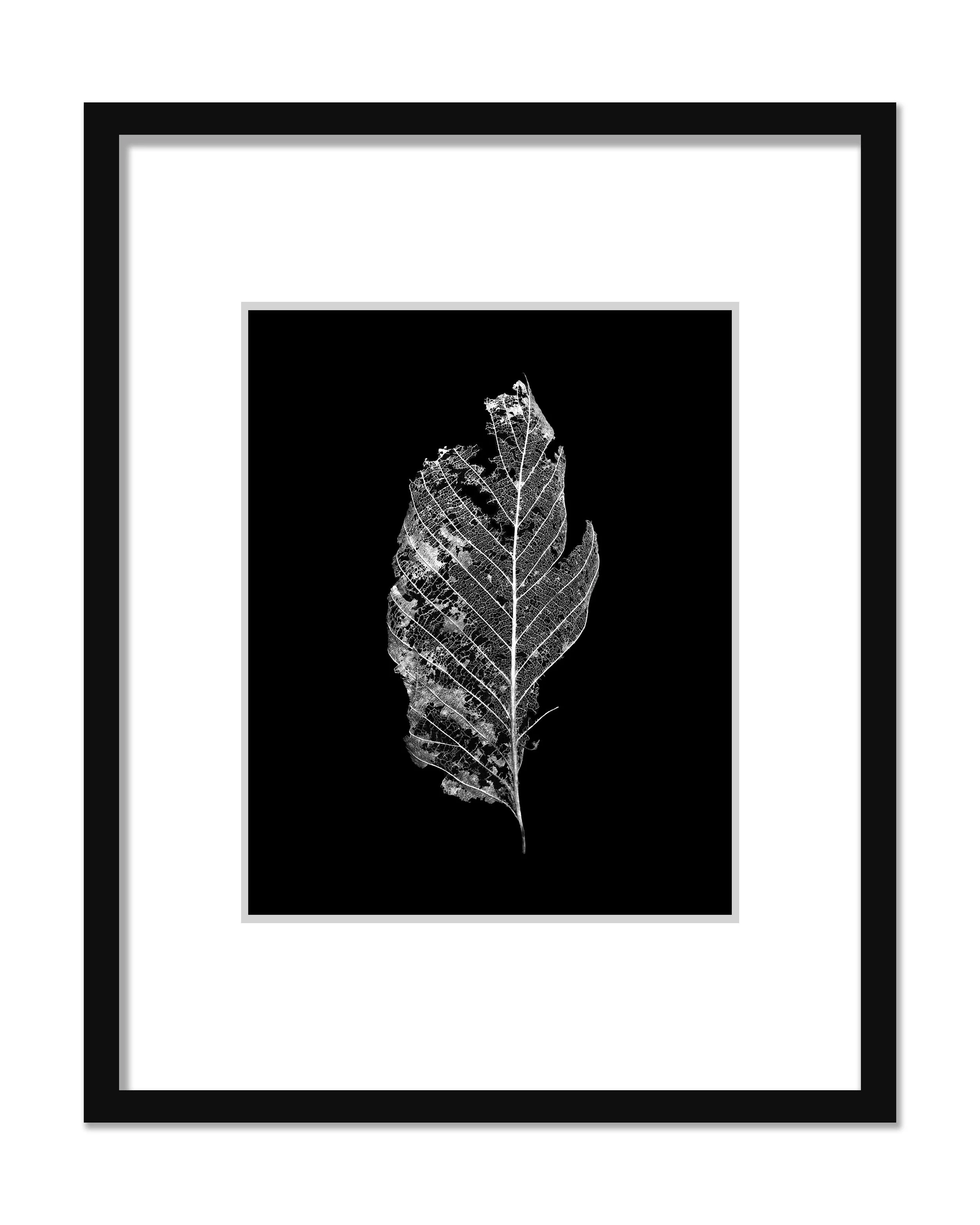 UNTITELD (2025) 20x30 10 + 2 AP