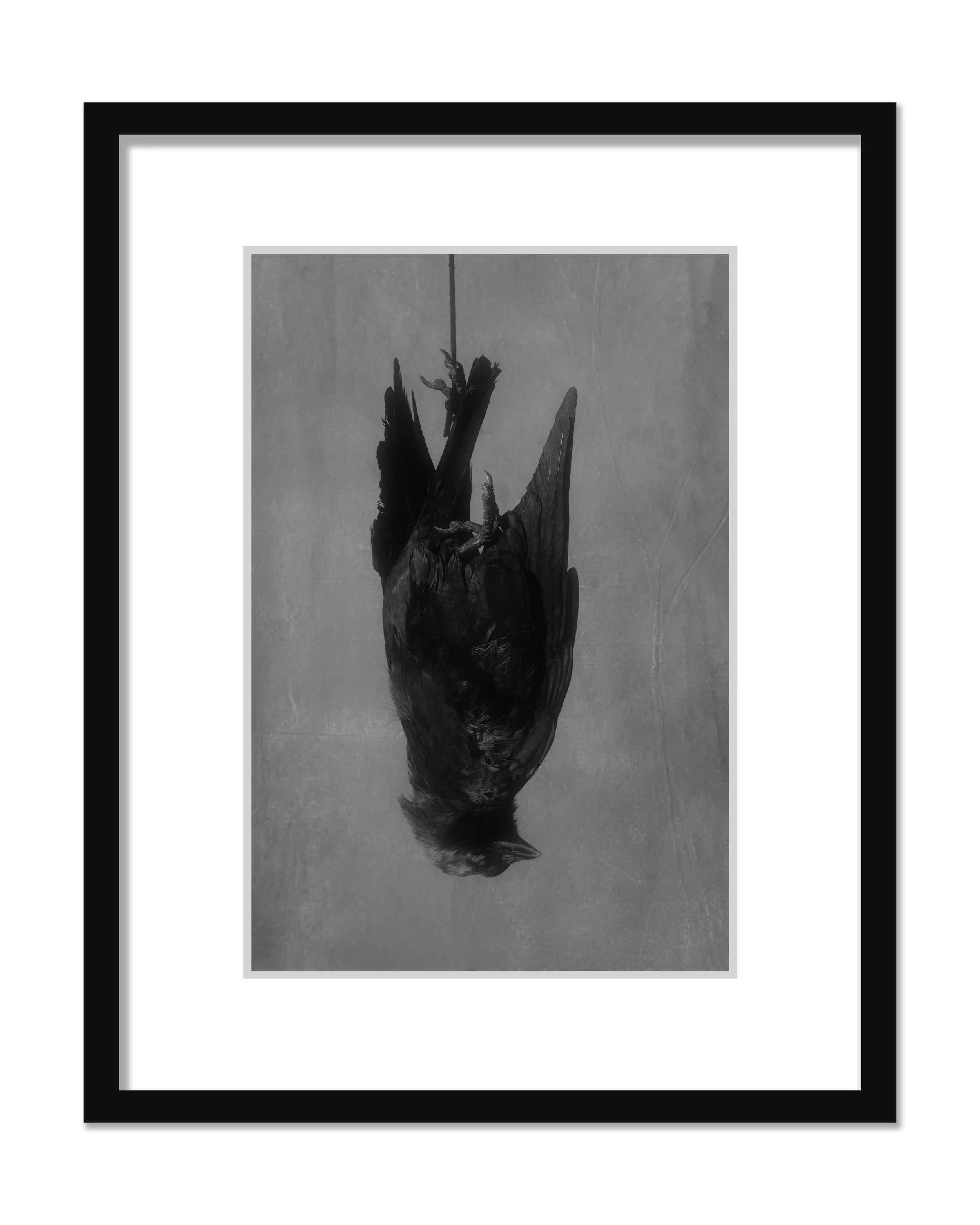 EQUANIMITY I (2024) 20x30 10 + 2 AP