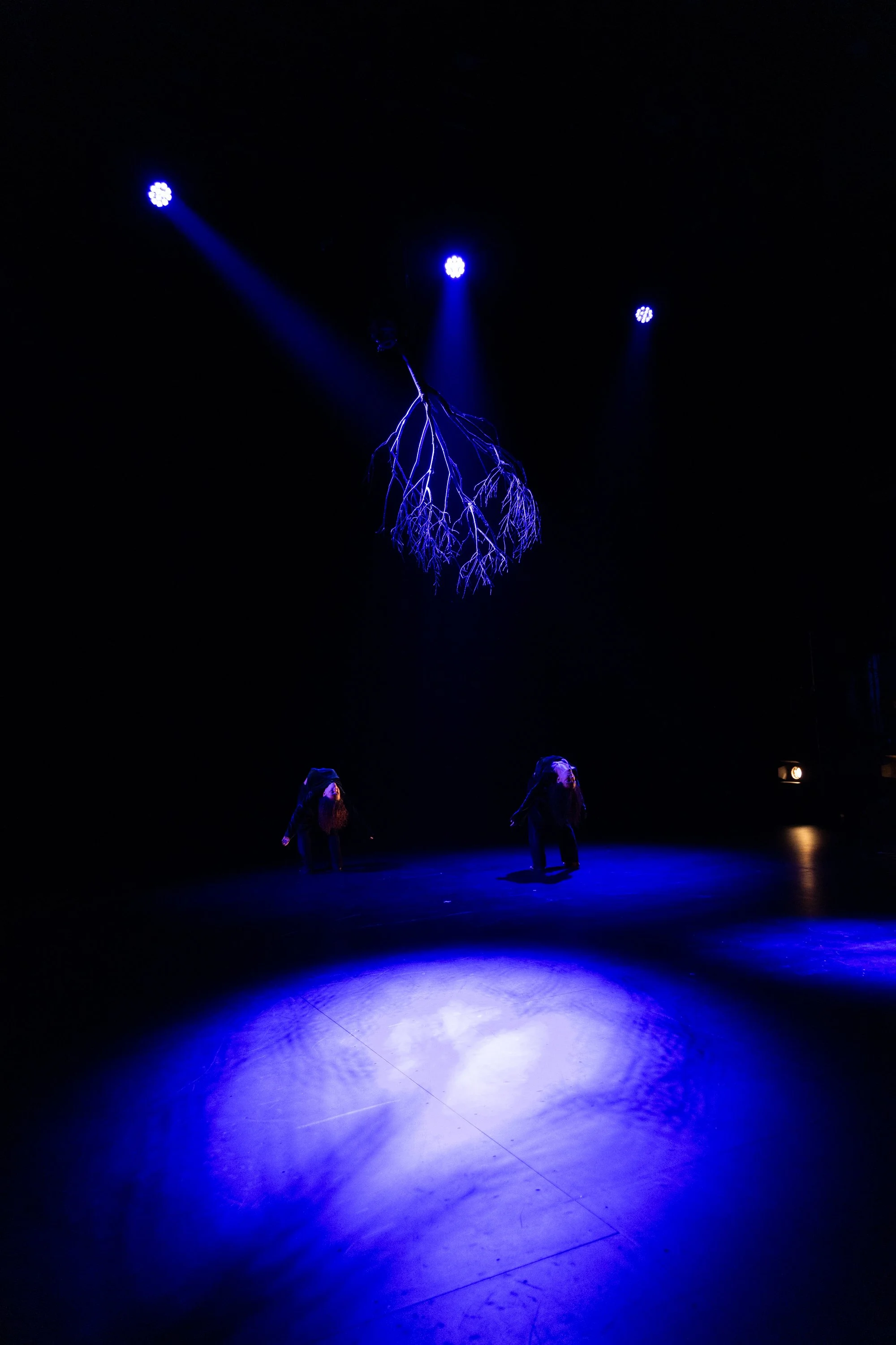 Matthew Miceli. Courtesy of Performance Space.JPG