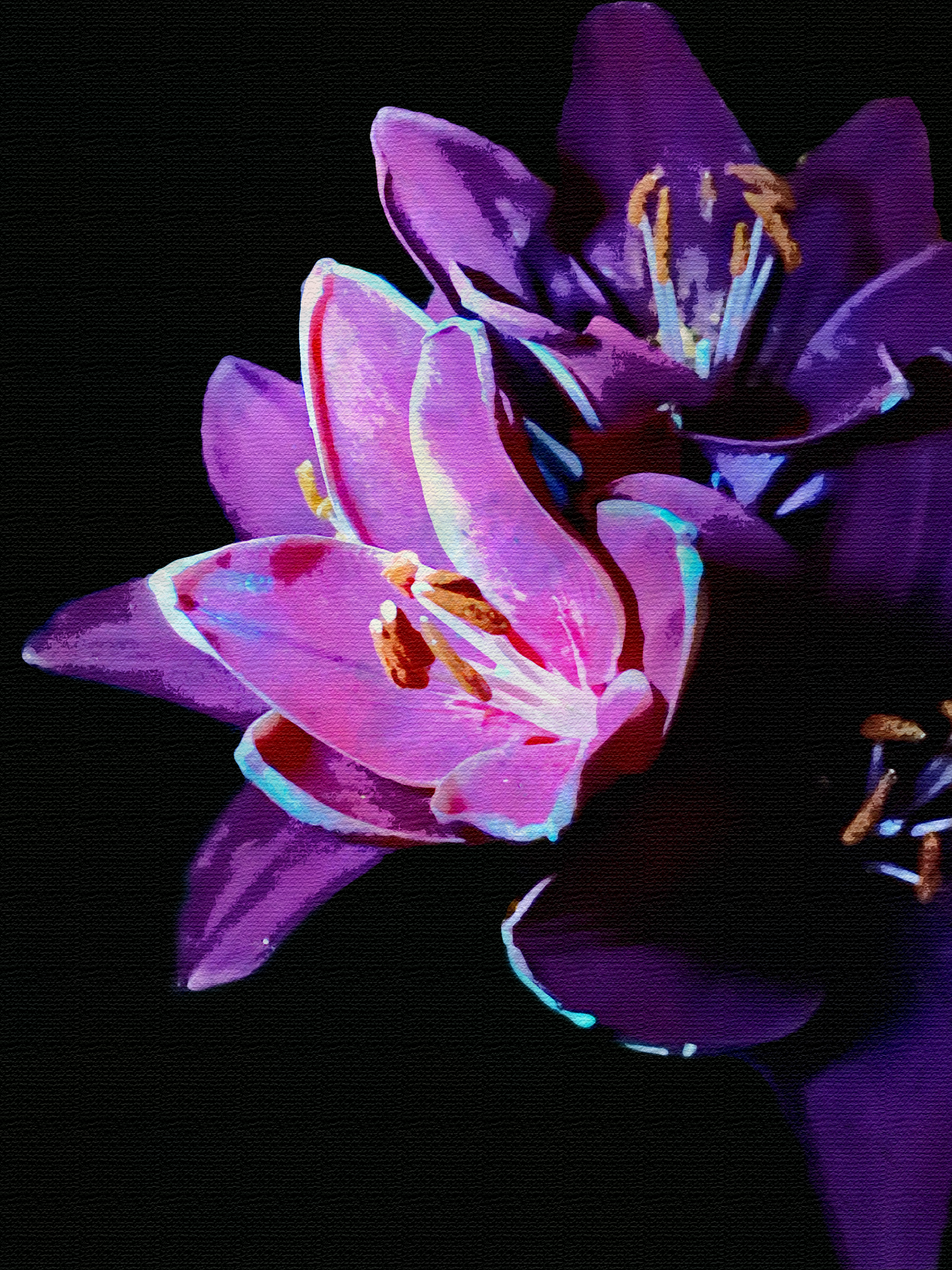 IMG_42311 watercolor 1.png