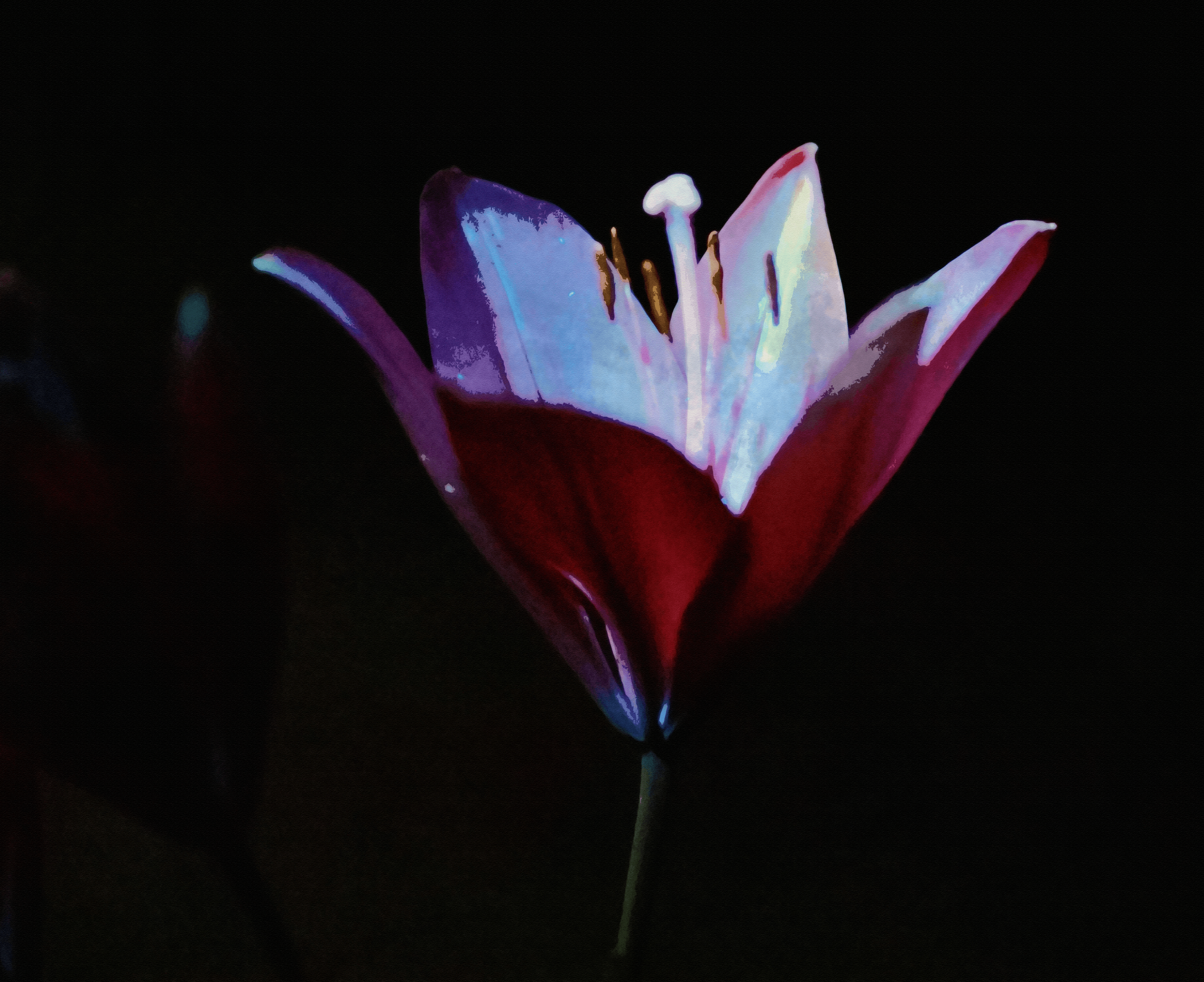 lilywatercolor compress.png
