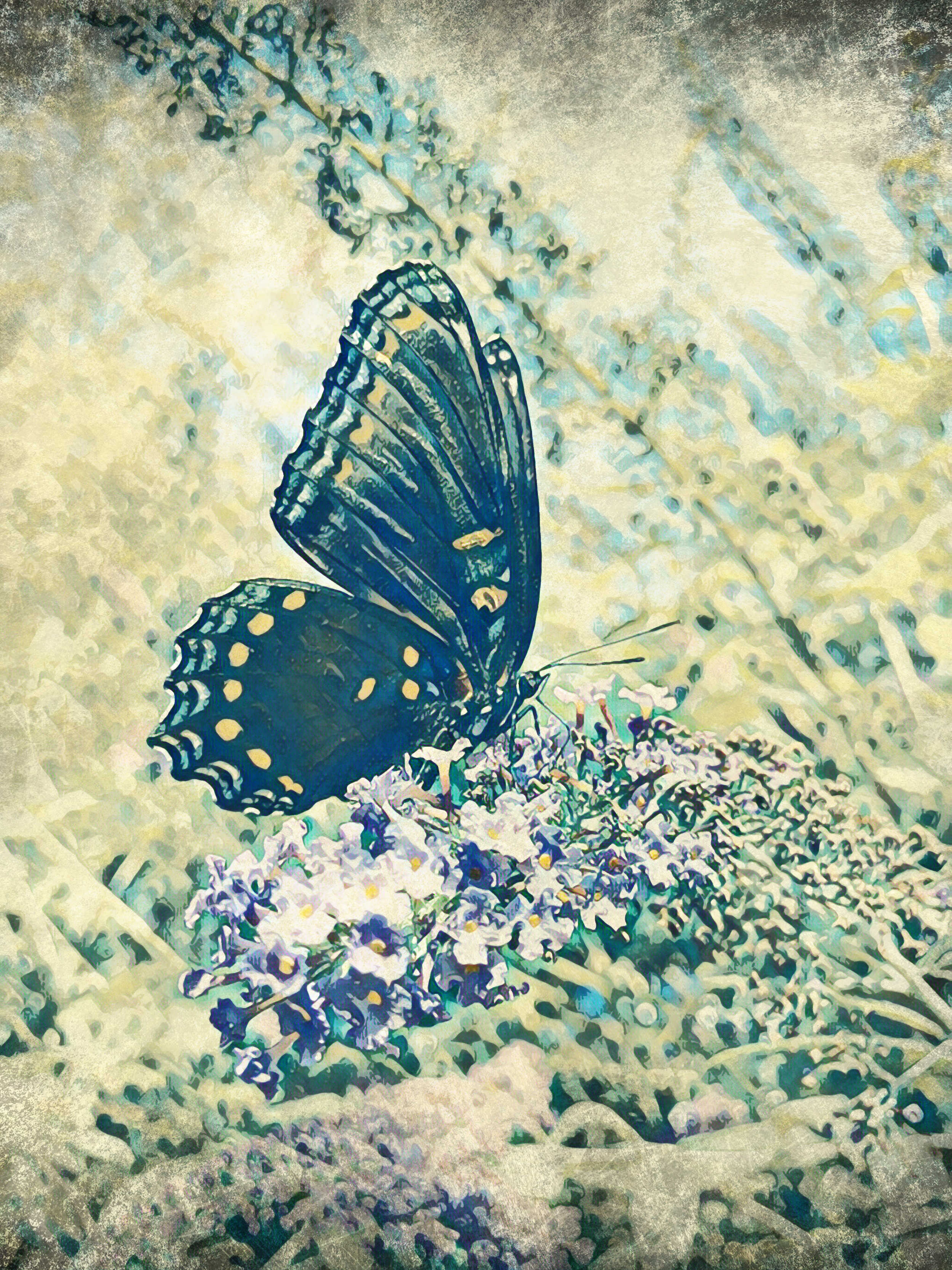 Vintage Flutter