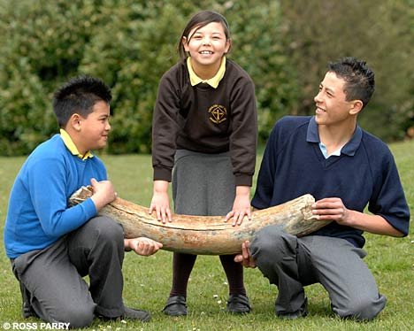 Mammoth Tusk found at Spurn Point