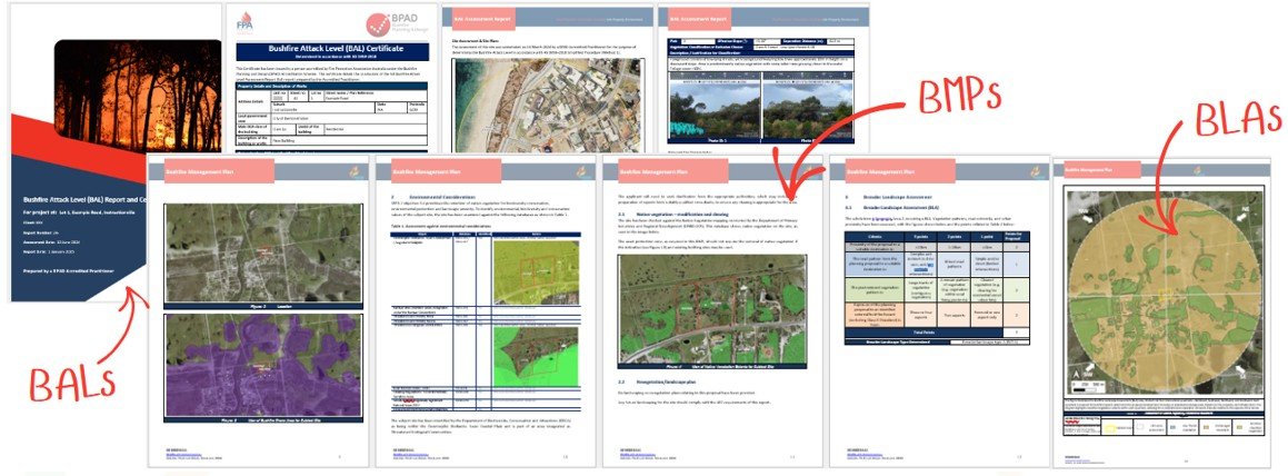 Understanding the Difference Between a BAL Report and a BMP