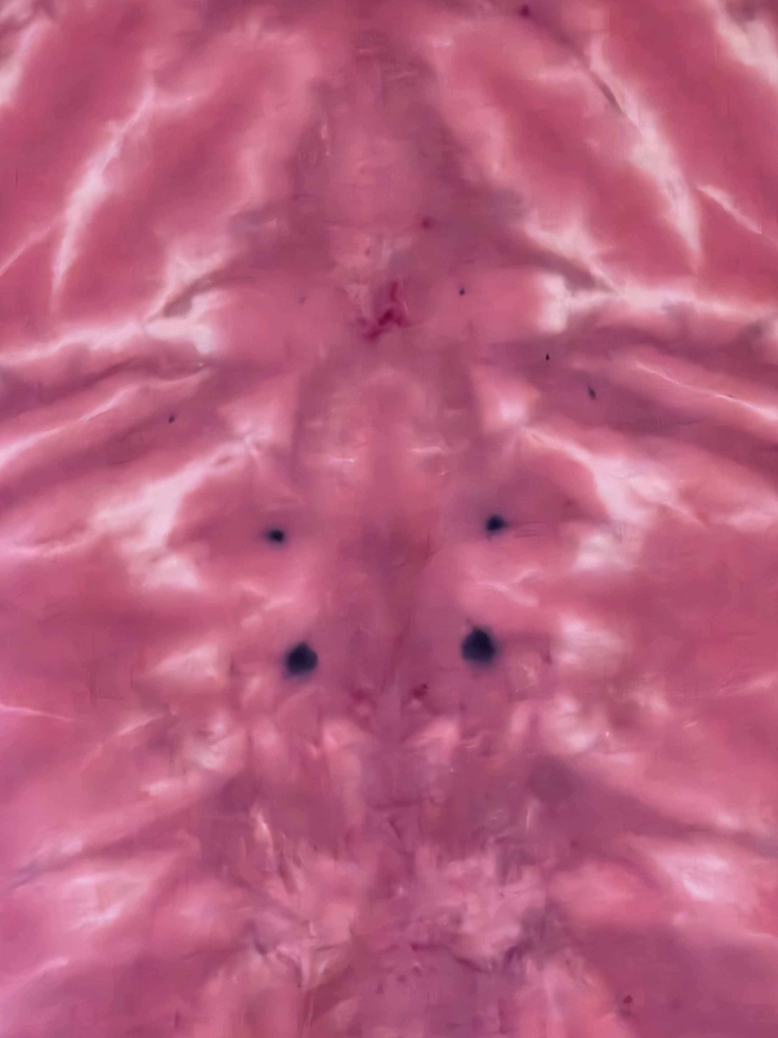 close up of A child's red and burgundy t-shirt featuring a central tie-dye creature pattern with long limbs and white accent streaks.