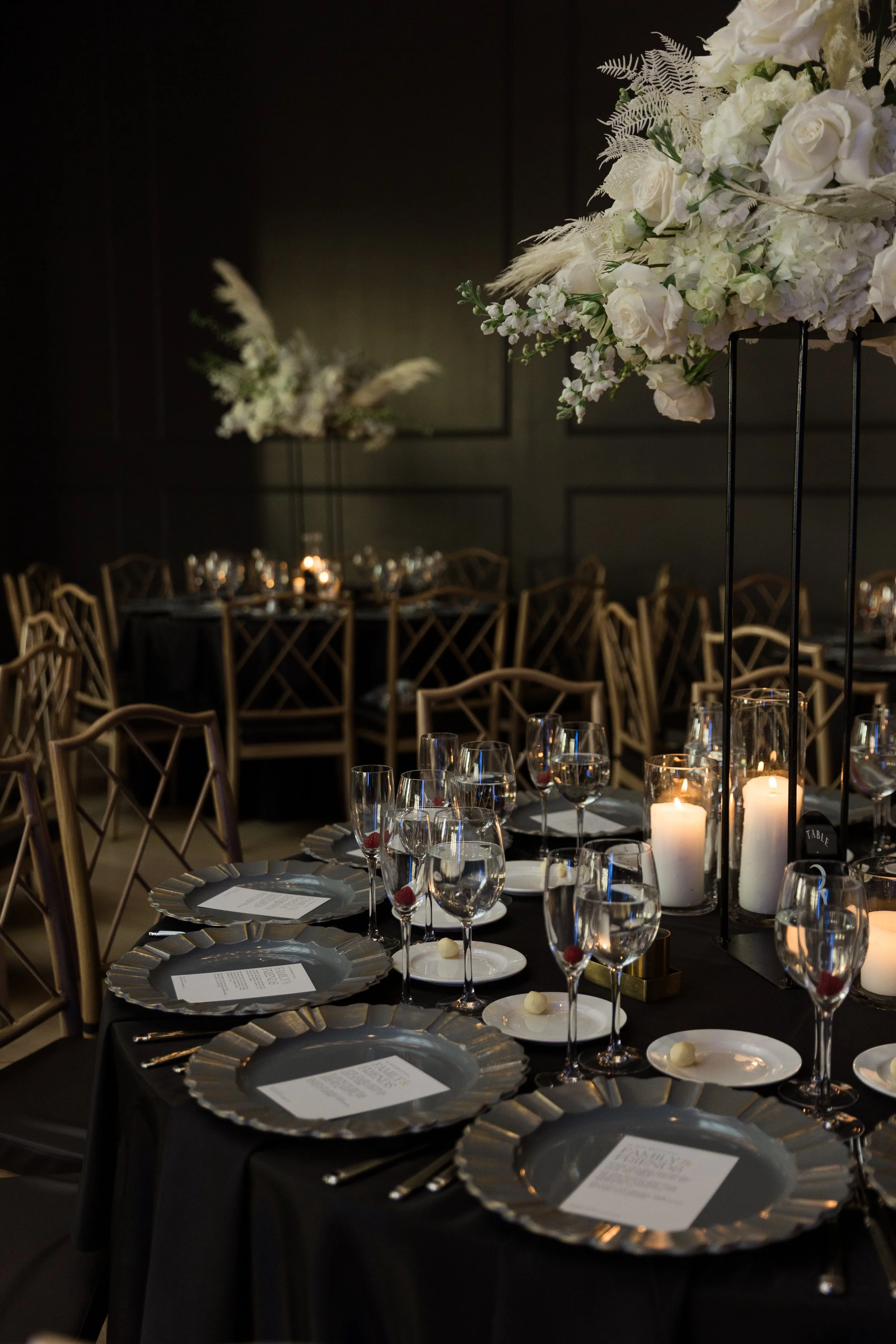 Asel Kashani Photography-8808.jpg