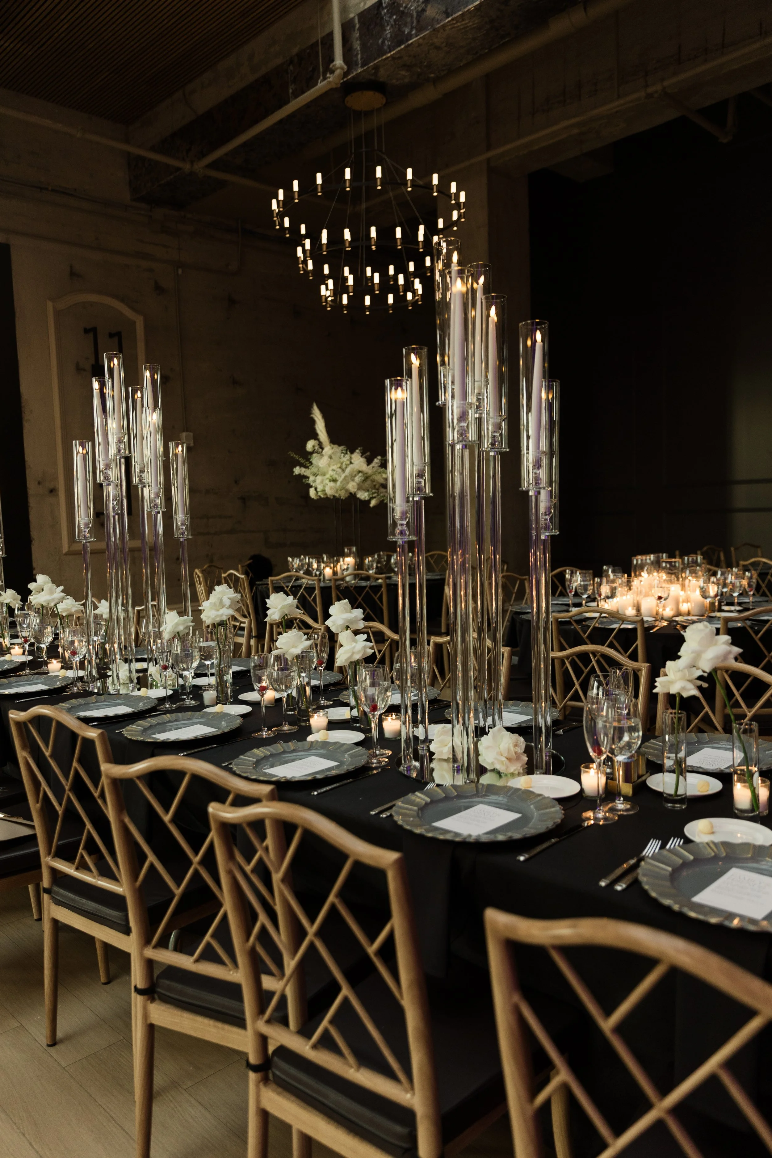 Asel Kashani Photography-8802.jpg