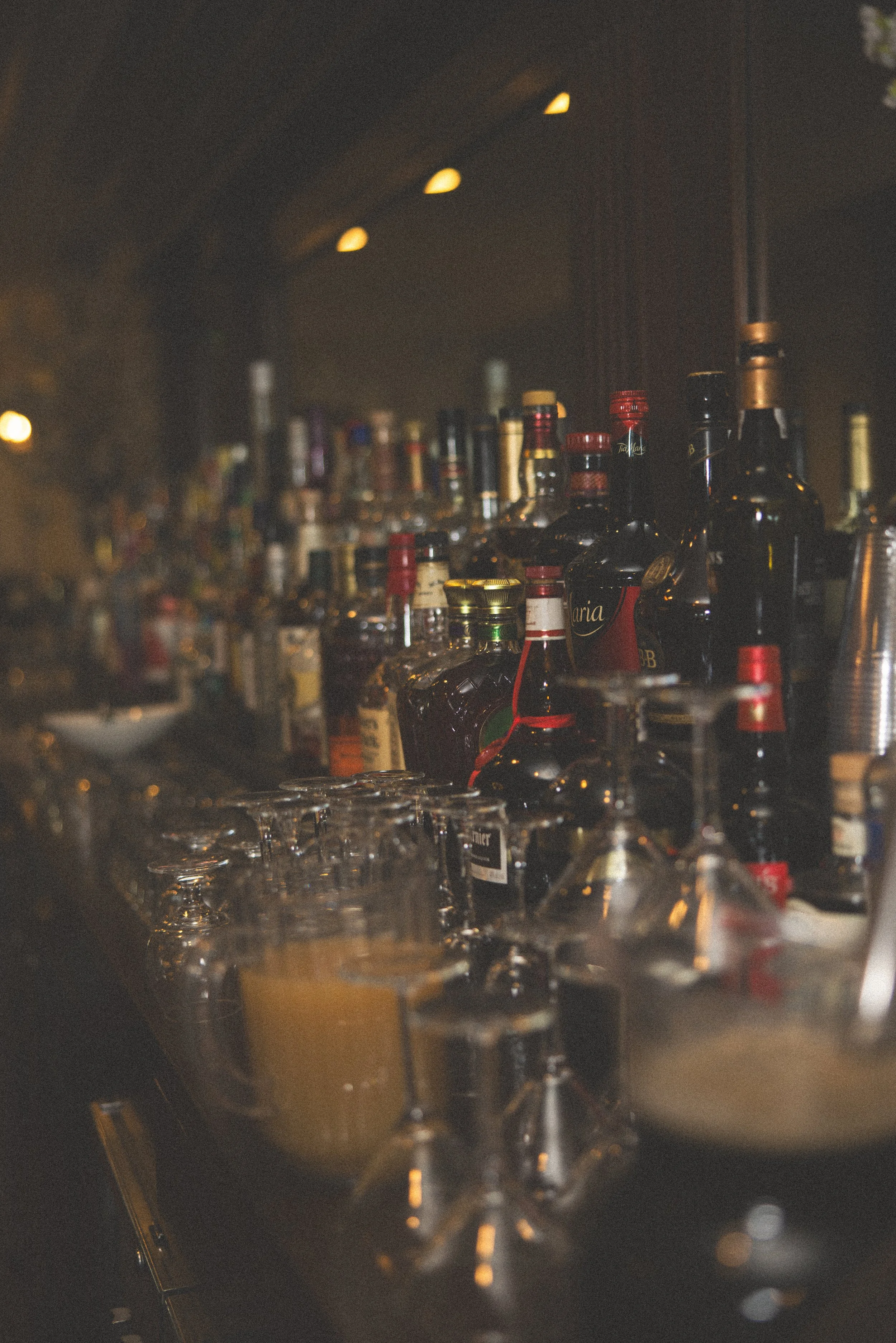 Asel Kashani Photography-6806.jpg