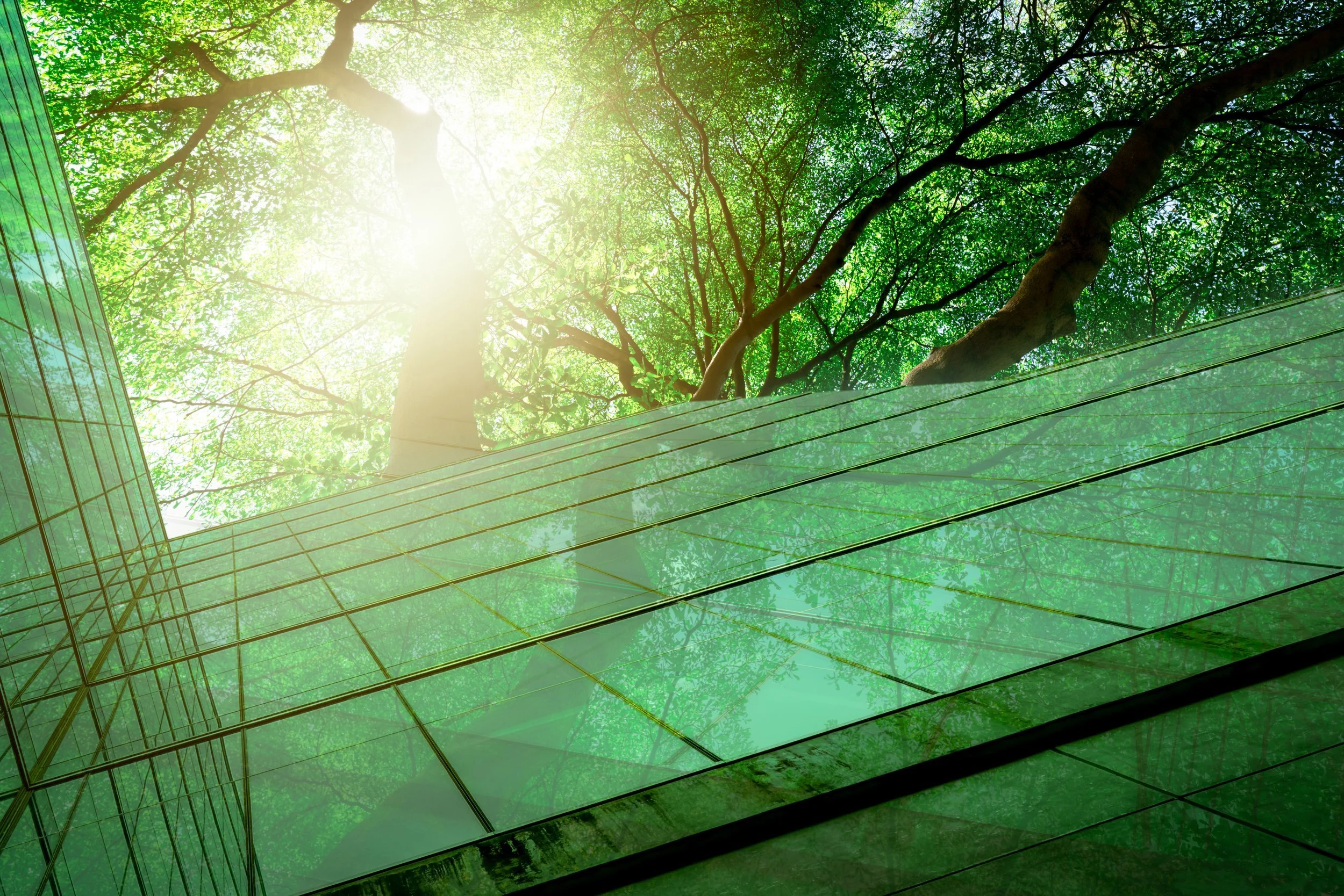 Three essential steps for achieving architectural sustainability 