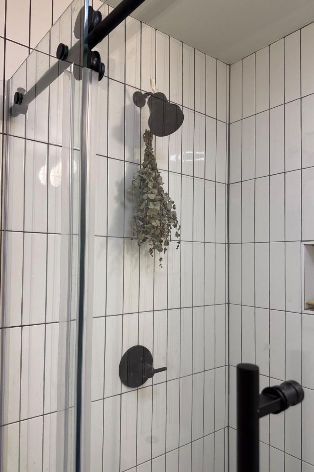 house essentials amazon