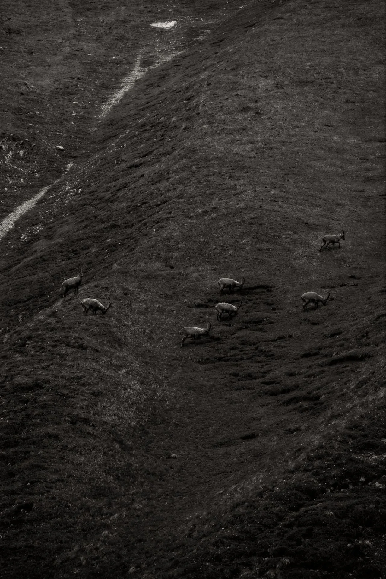 JUZ08295.jpg