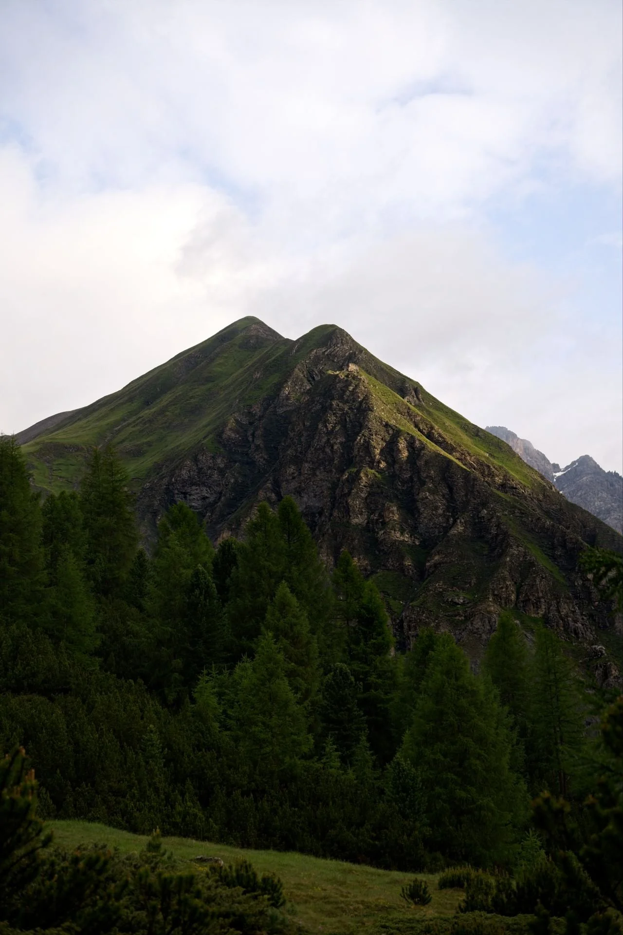 JUZ08097.jpg