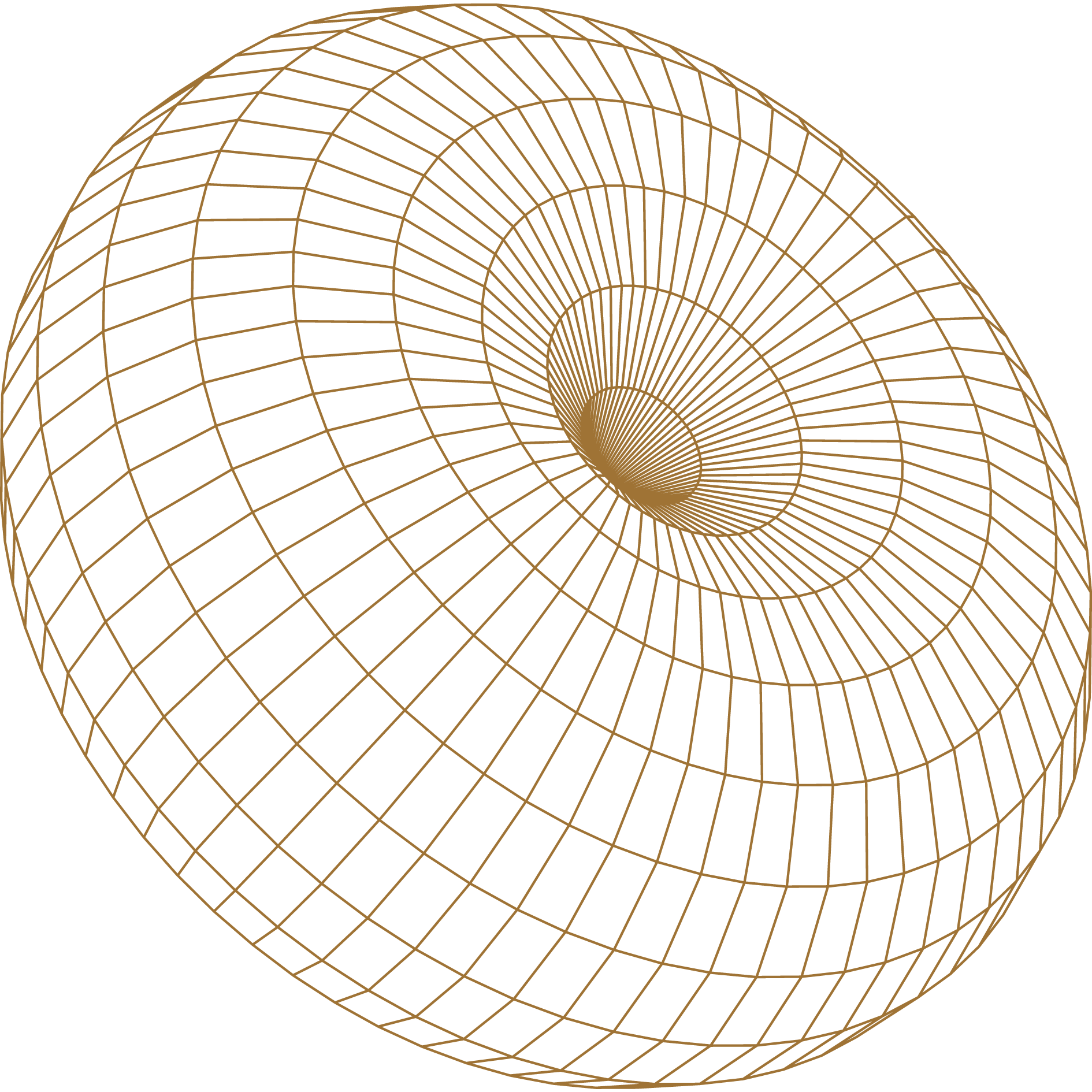 A 3D wireframe model of a spiral tunnel or vortex, with a golden grid pattern on a black background.