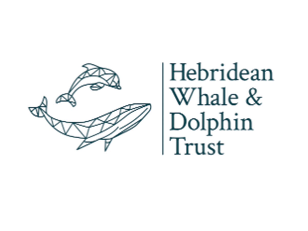 Line art drawing of a whale with fish swimming above, beside the text "Hebridean Whale & Dolphin Trust"