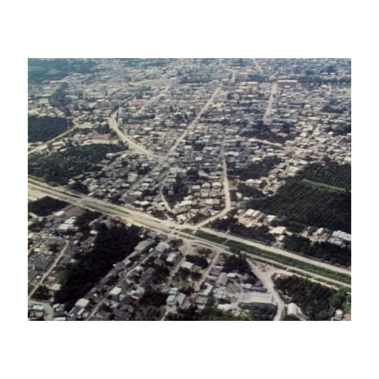 010.jpg