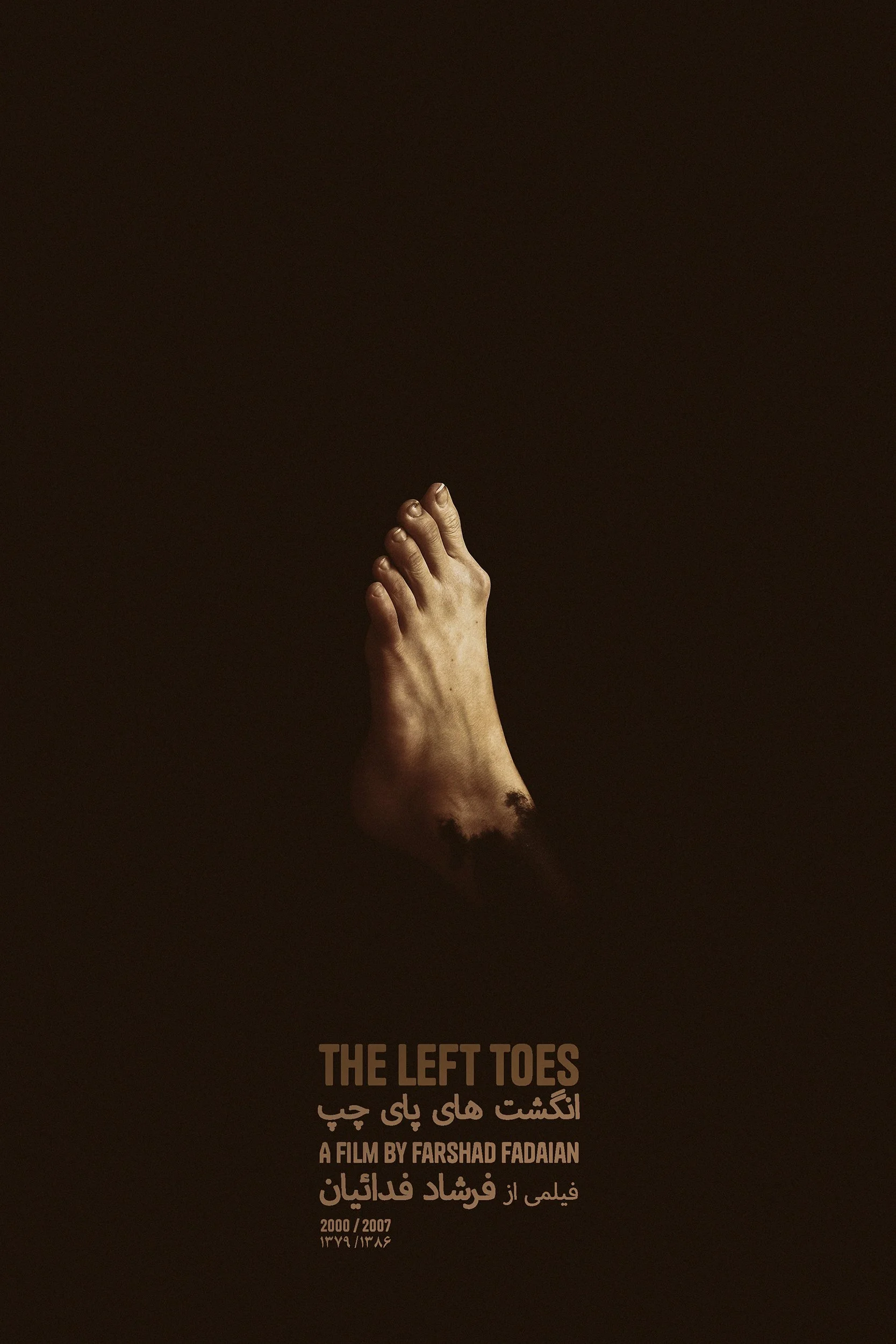 When you come into the world one minute late, the world tightens its space around you, and only the toes of your left foot remain for you. This documentary, focusing on the left toes of a woman with muscular paralysis, depicts human behaviors and des