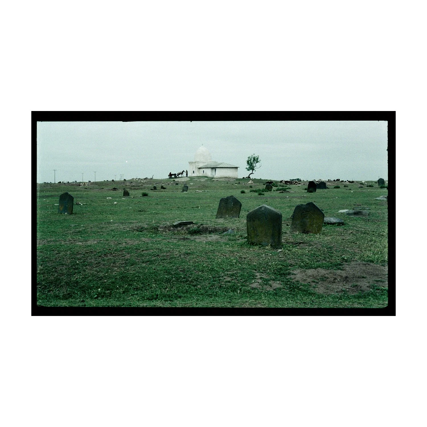 005.jpg