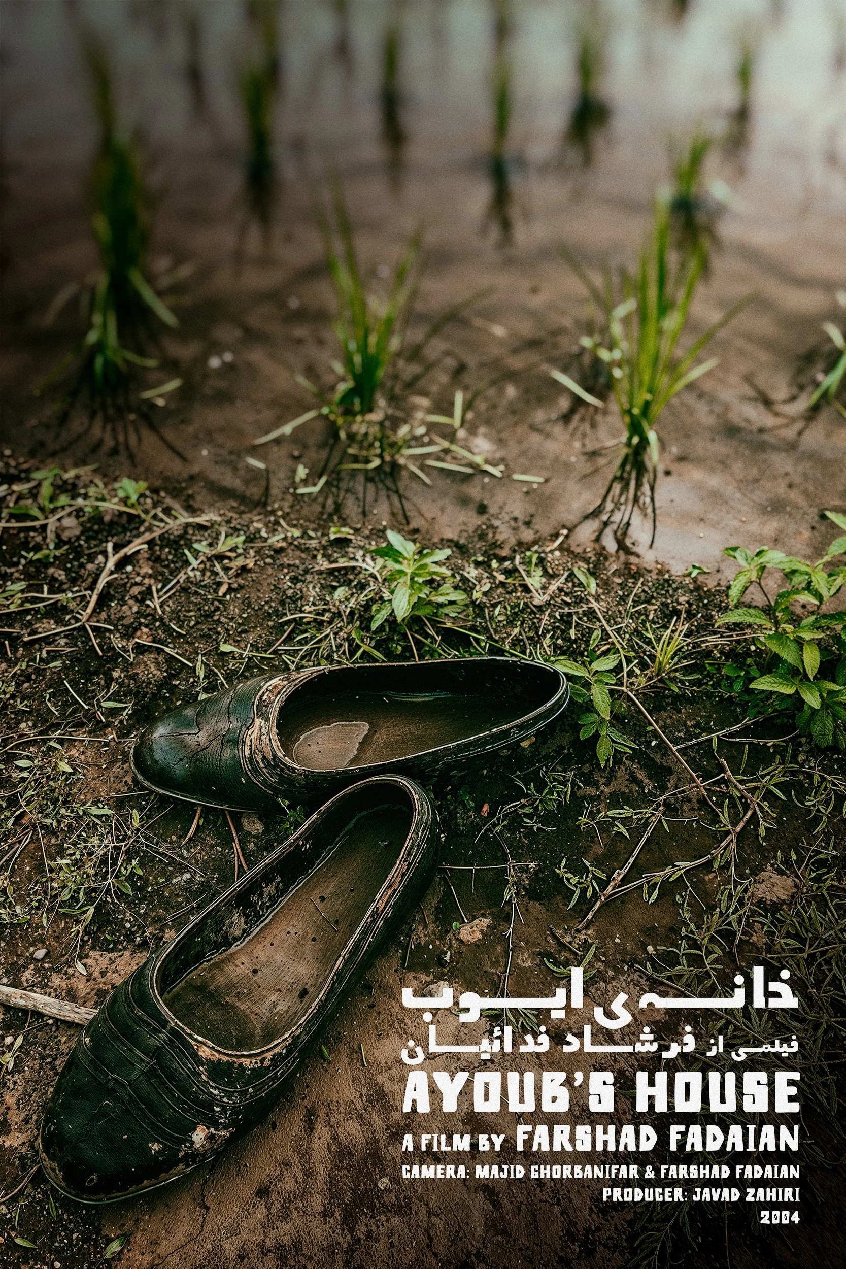 An intimate weaving of home, labor, land, and animals, intertwined with the lives of two women, a man, and a young boy.