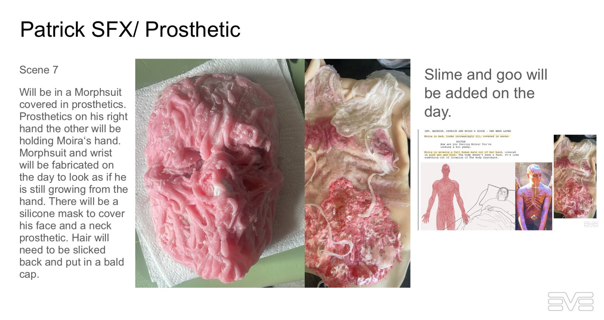 Face Chart Prosthetic face.jpeg
