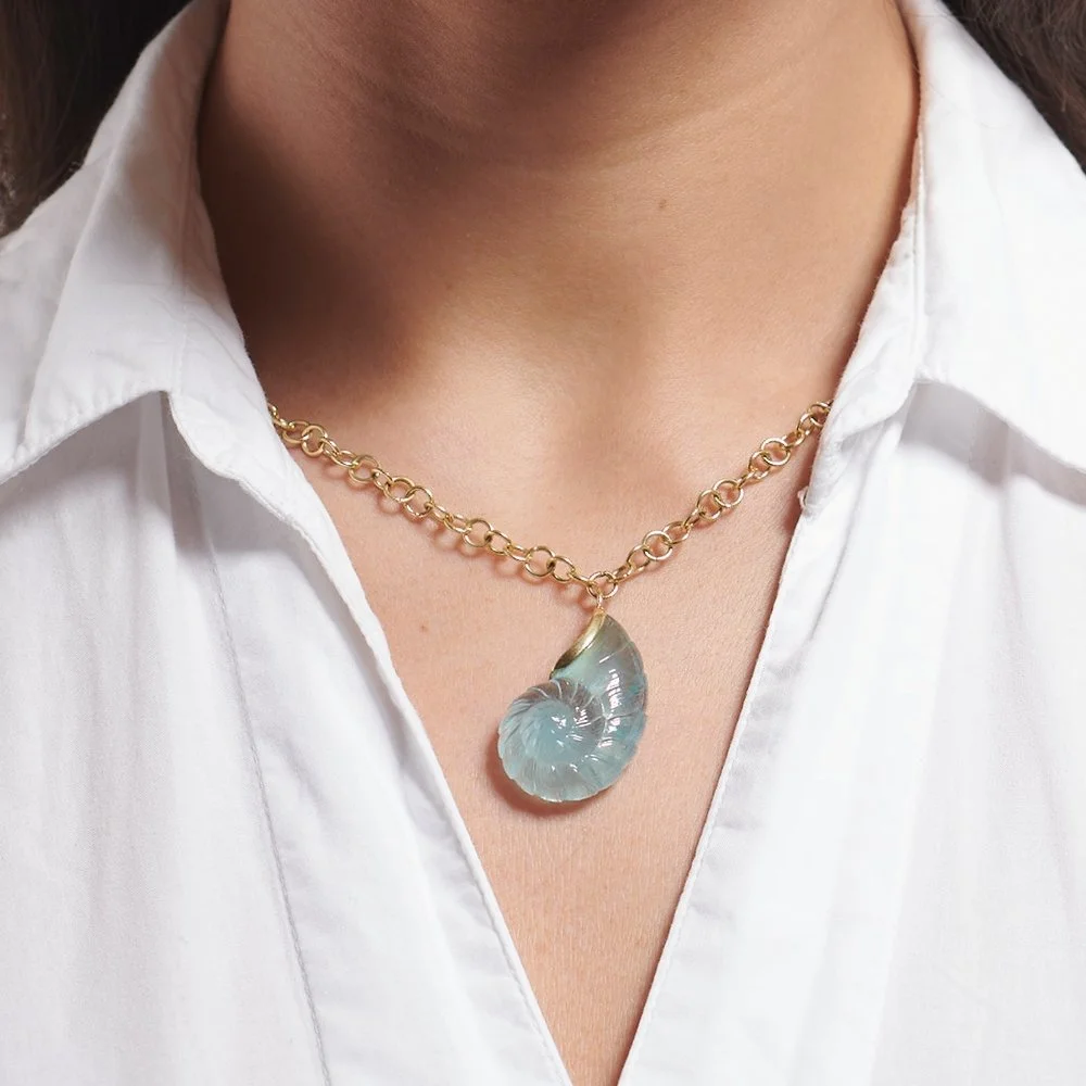 Ammonite Drop