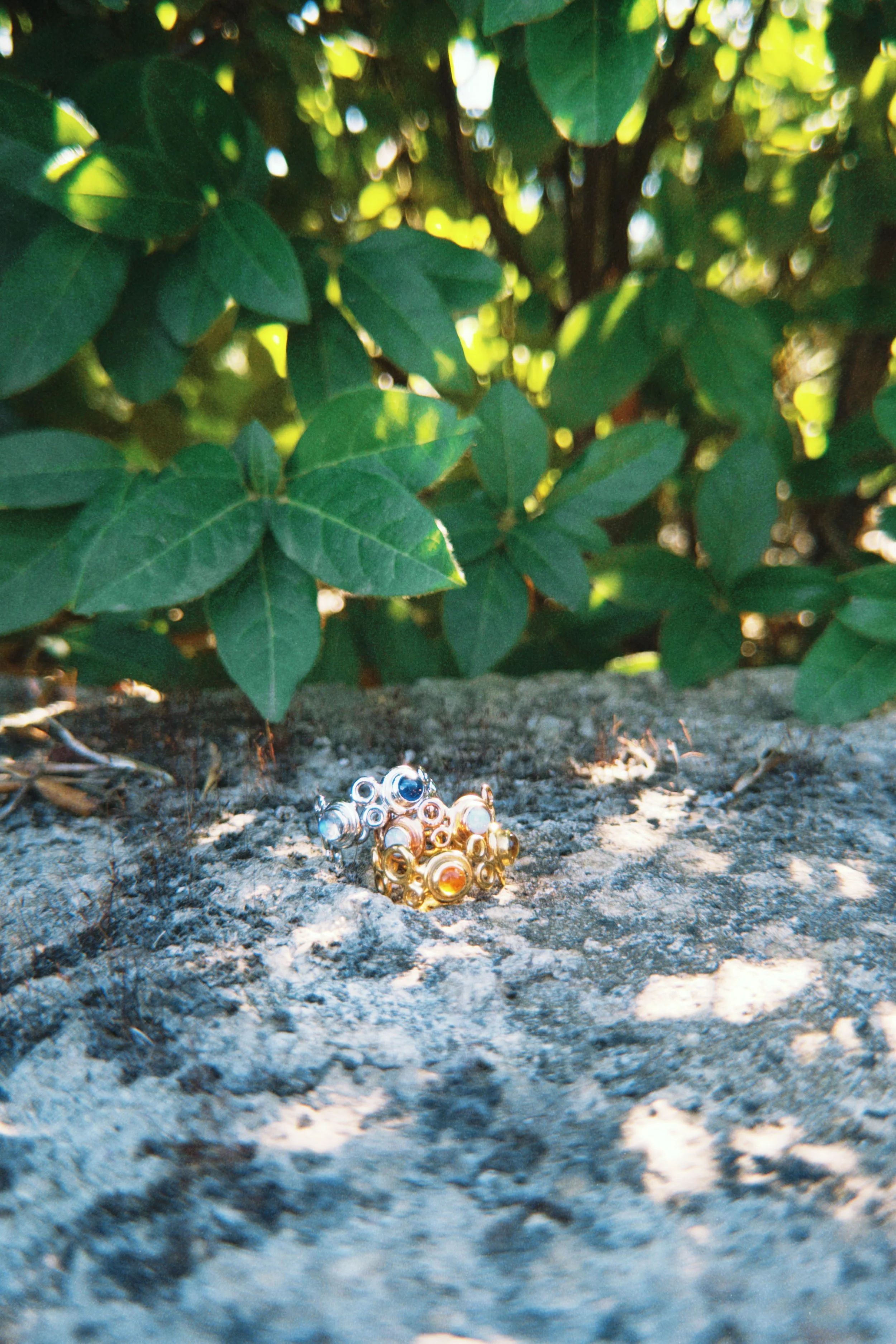 stacked.leaf.JPG