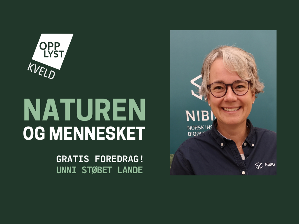 Opplyst kveld - Naturen og mennesket
