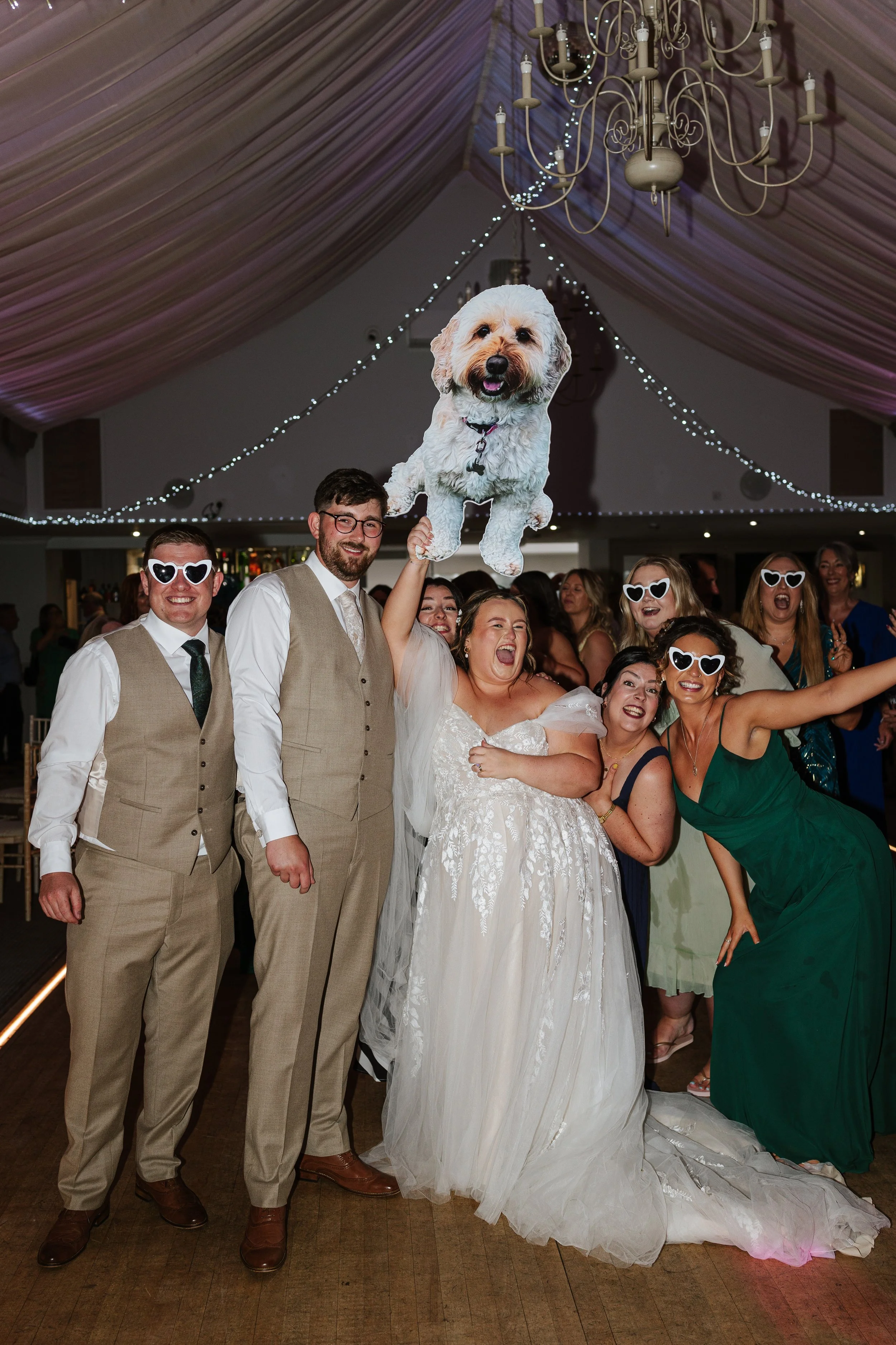 People celebrating at a wedding reception, with a woman in a wedding dress, a group of women wearing heart-shaped sunglasses, and a large dog jumping in the air.