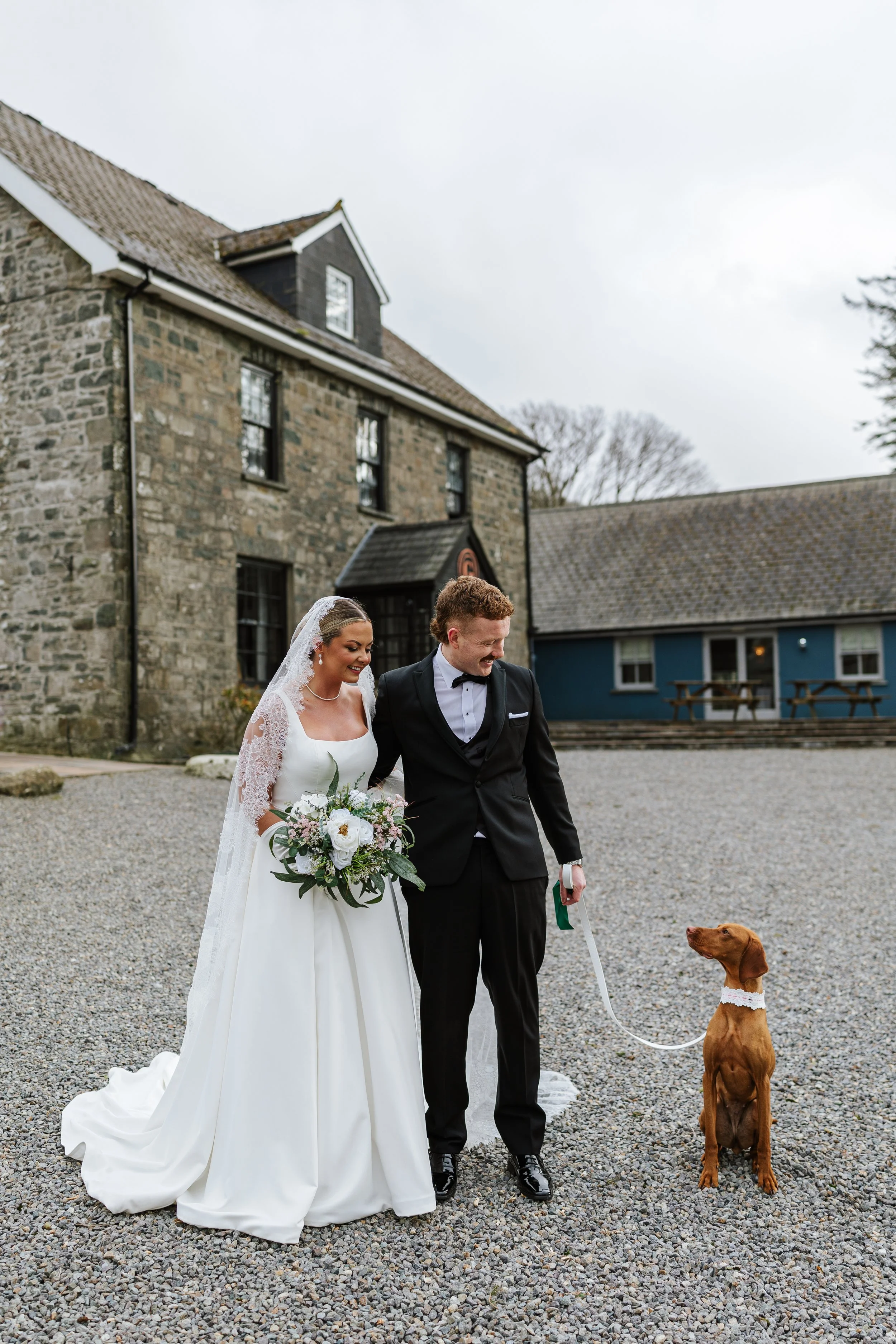 A bride and groom walking on a gravel path with a brown dog sitting in front of them. The bride wears a white wedding dress and veil, holding a bouquet of flowers. The groom wears a black tuxedo. The background features a stone building and a blue ho