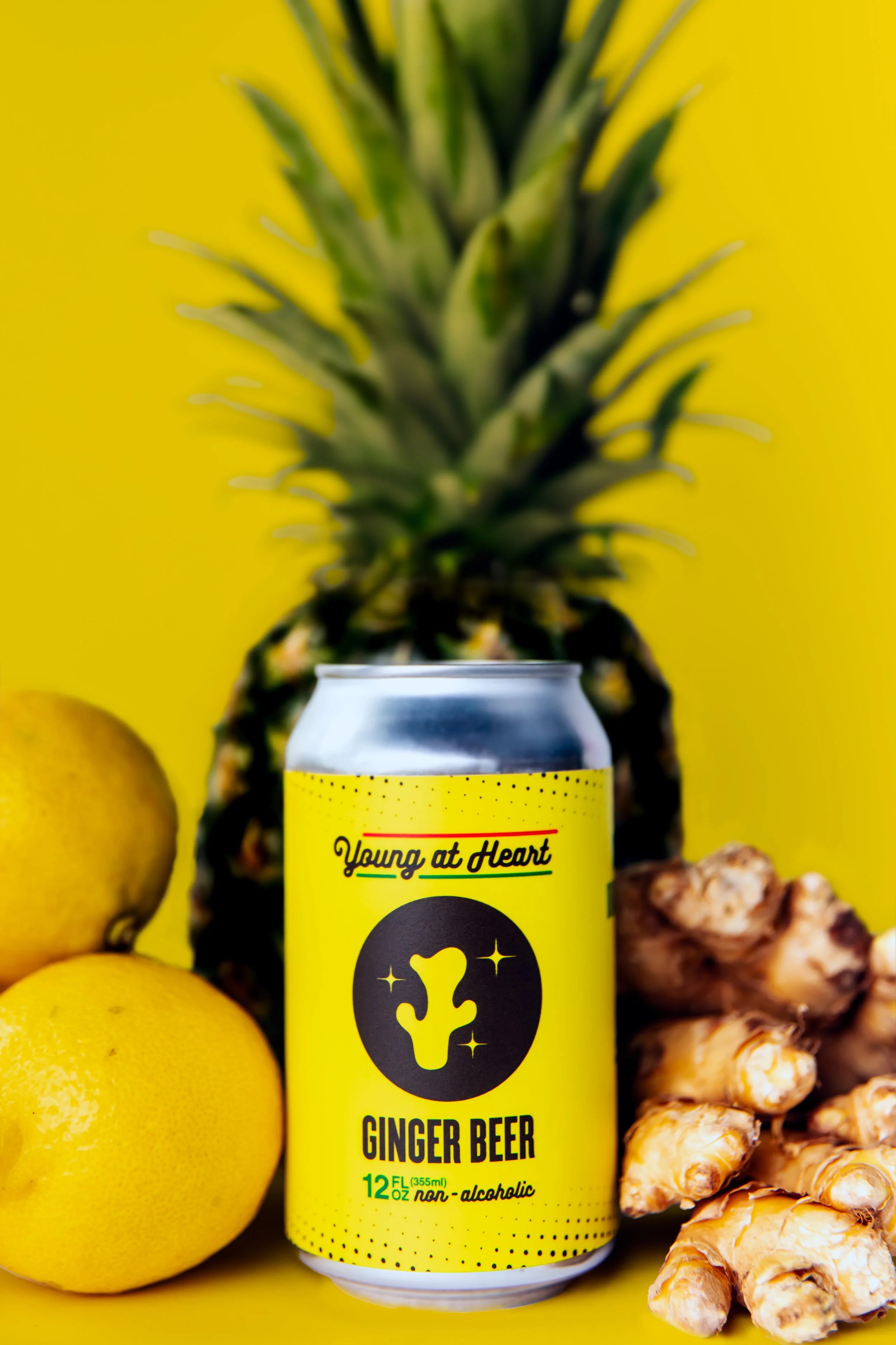 YAH-Ingredient and Can Photos-31.jpg