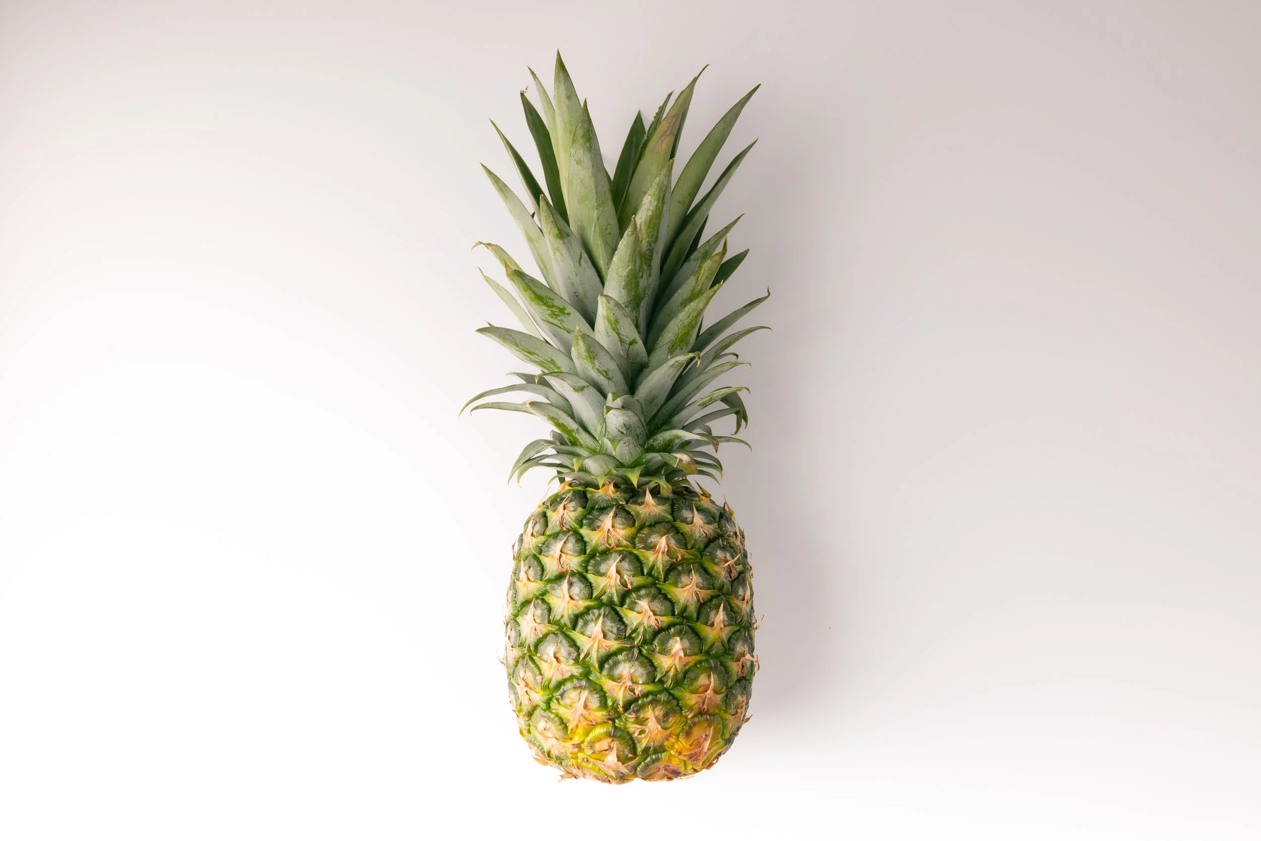 YAH-Ingredient and Can Photos-2.jpg