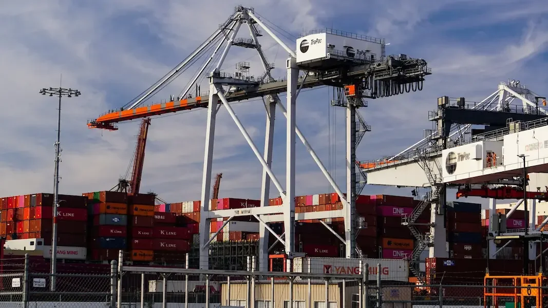 shutterstock_2077616374 (1).webp