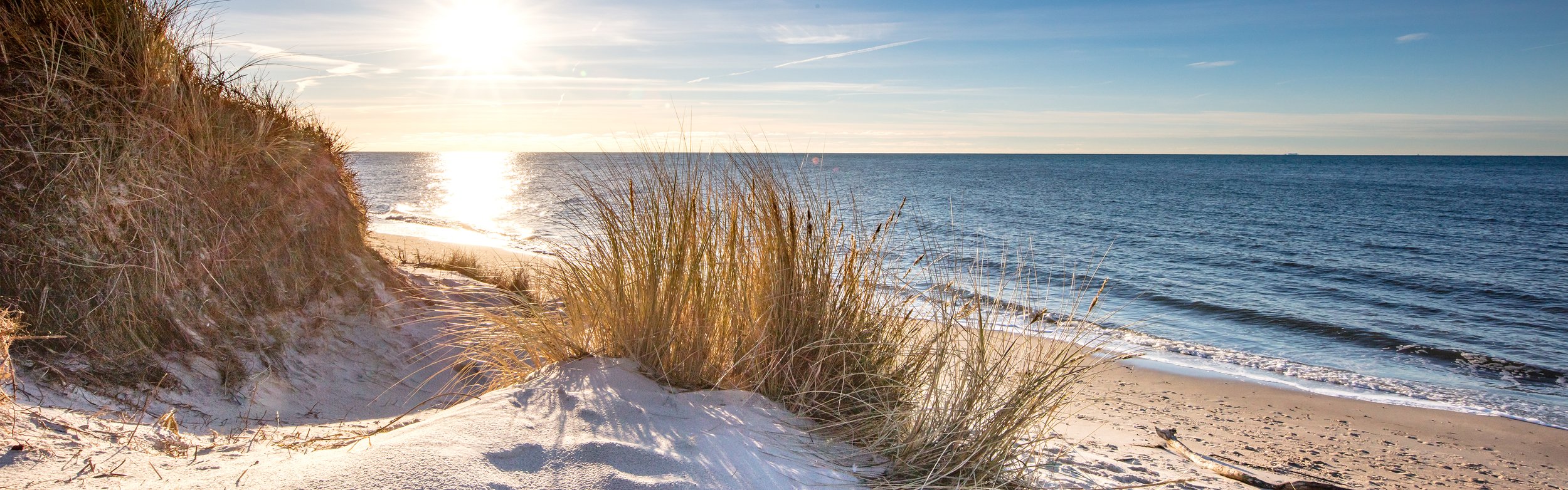Tracking the Source: A Smarter Approach to Beach Water Quality