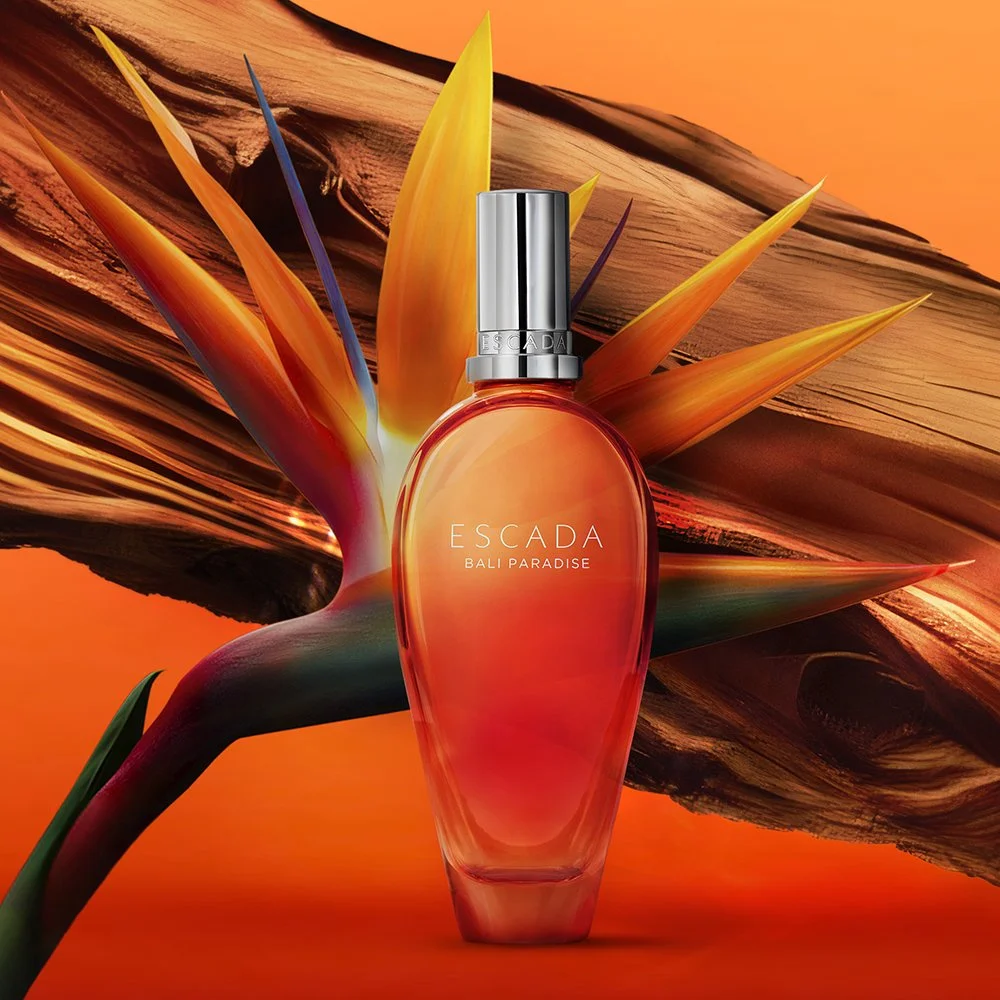 Retouche photo précise, amélioration de l'image, suppression des défauts, création du fond et des ombres, photomontage, chromie. 