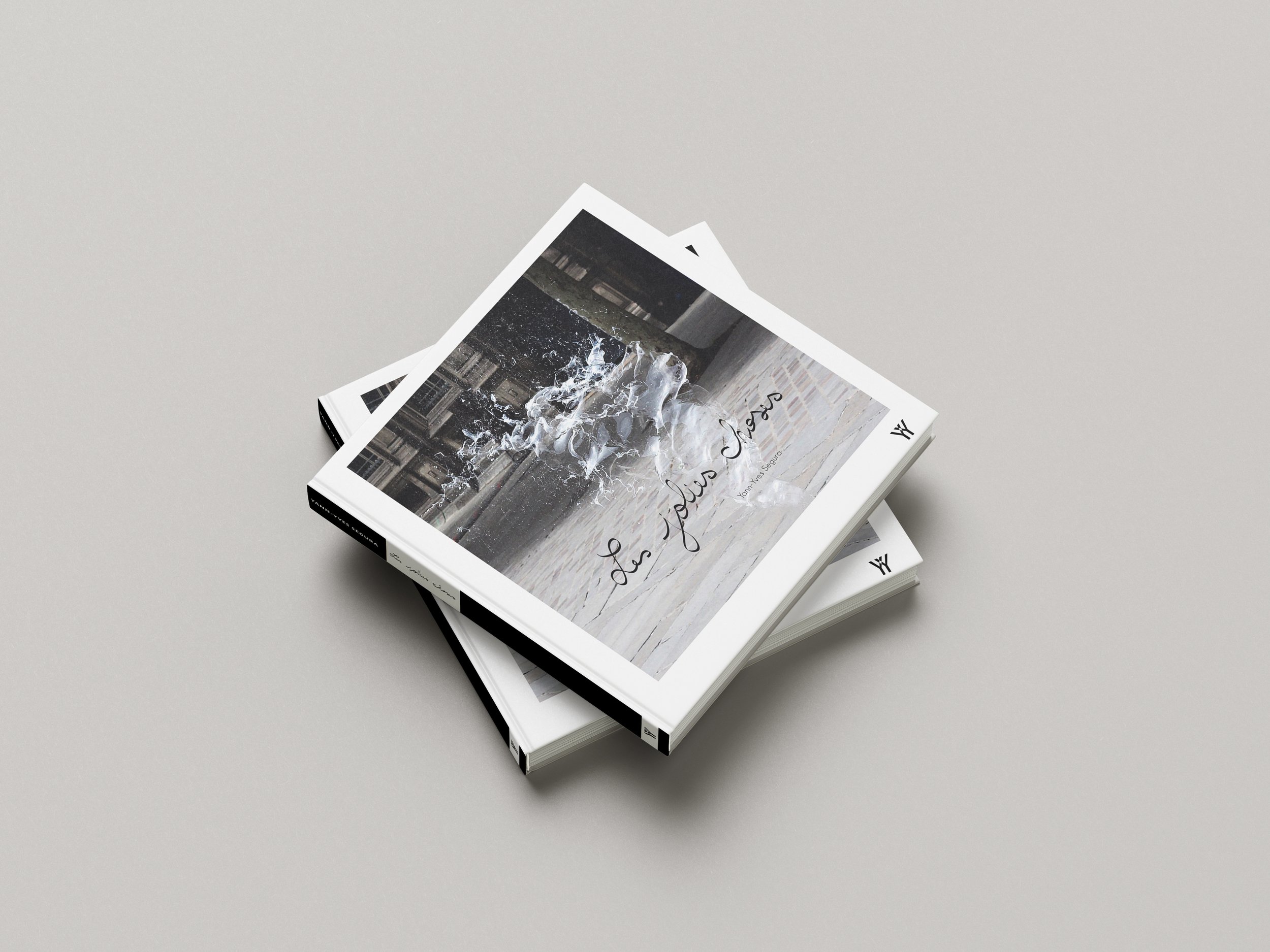 livrechoses copie.jpg