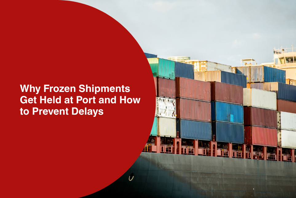 Why Frozen Shipments Get Held at Port and How to Prevent Delays