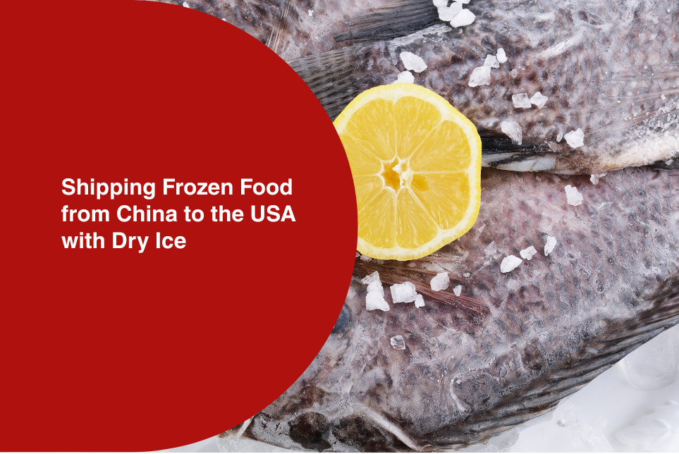 Shipping Frozen Food from China to the USA with Dry Ice in 2026