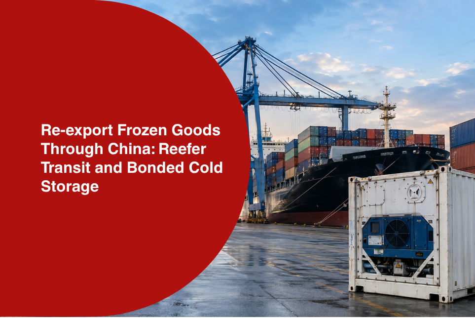 Re-export Frozen Goods Through China: Reefer Transit and Bonded Cold Storage
