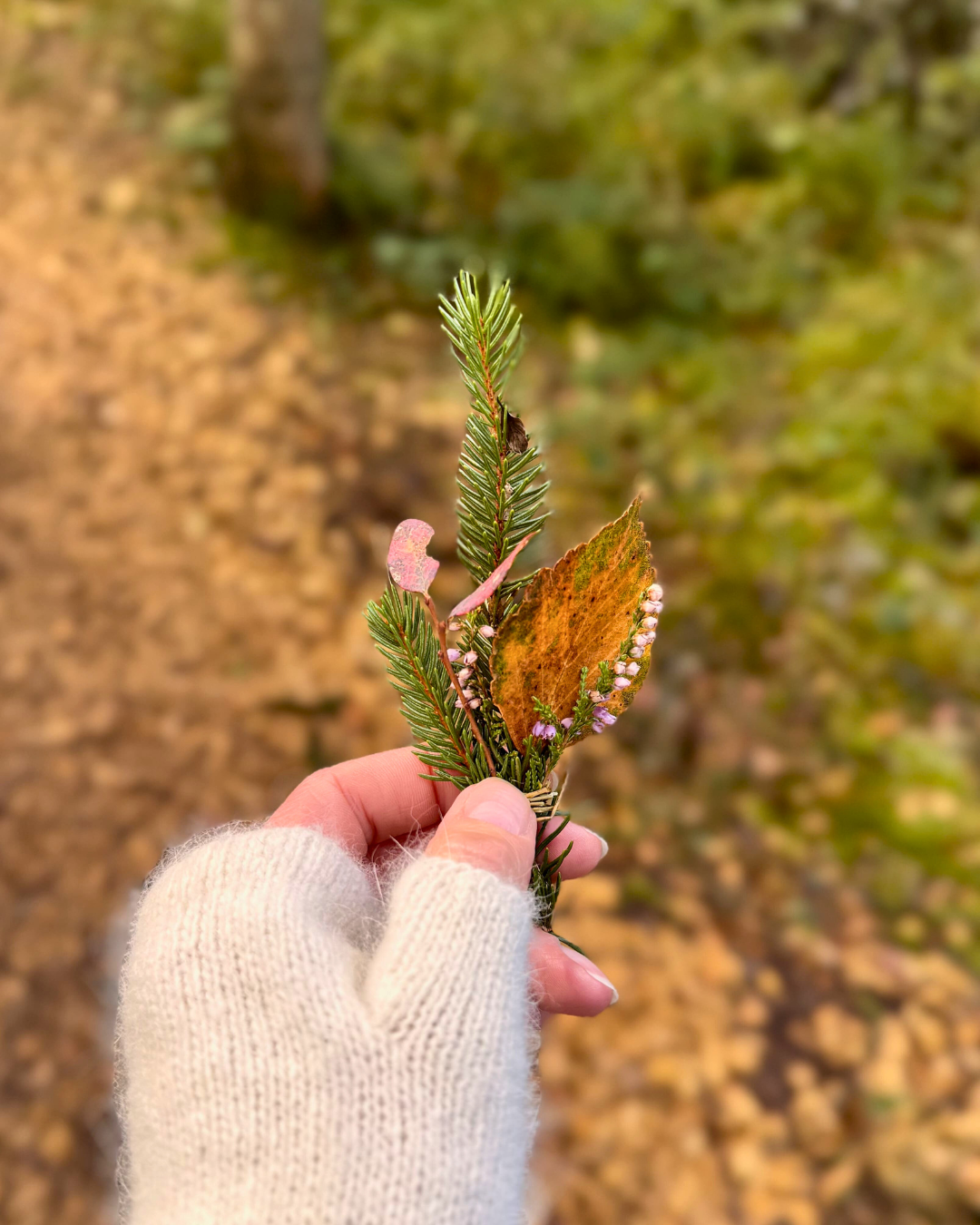 Mit der Natur im Einklang: Der Jahreskreis als Kompass.