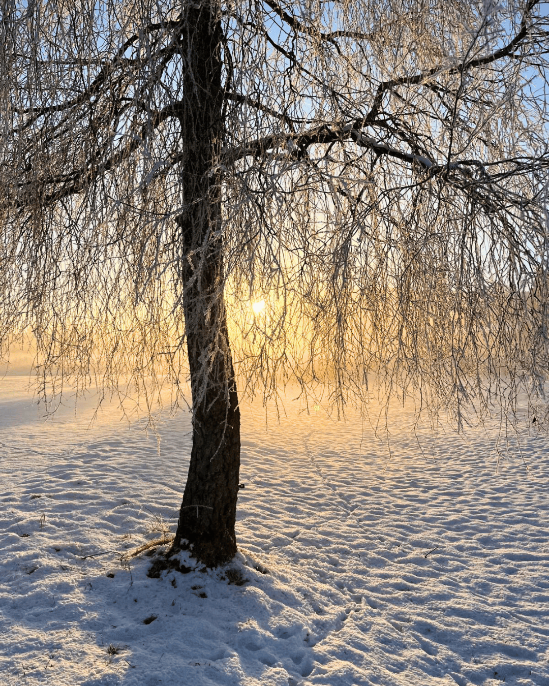 Die Wintersonnenwende.