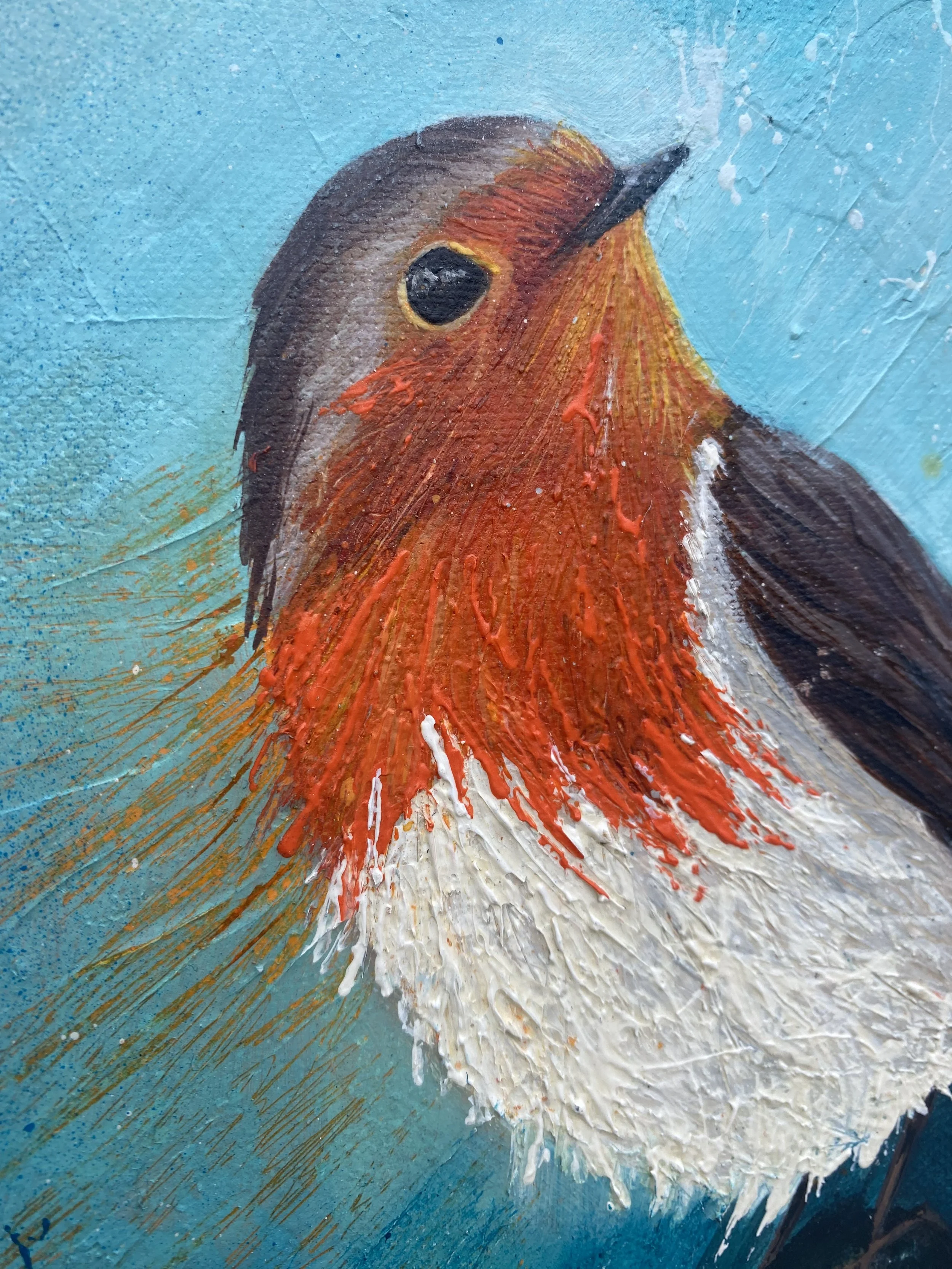 'The Garden Visitor' - Original Robin Acrylic Painting- Box Canvas