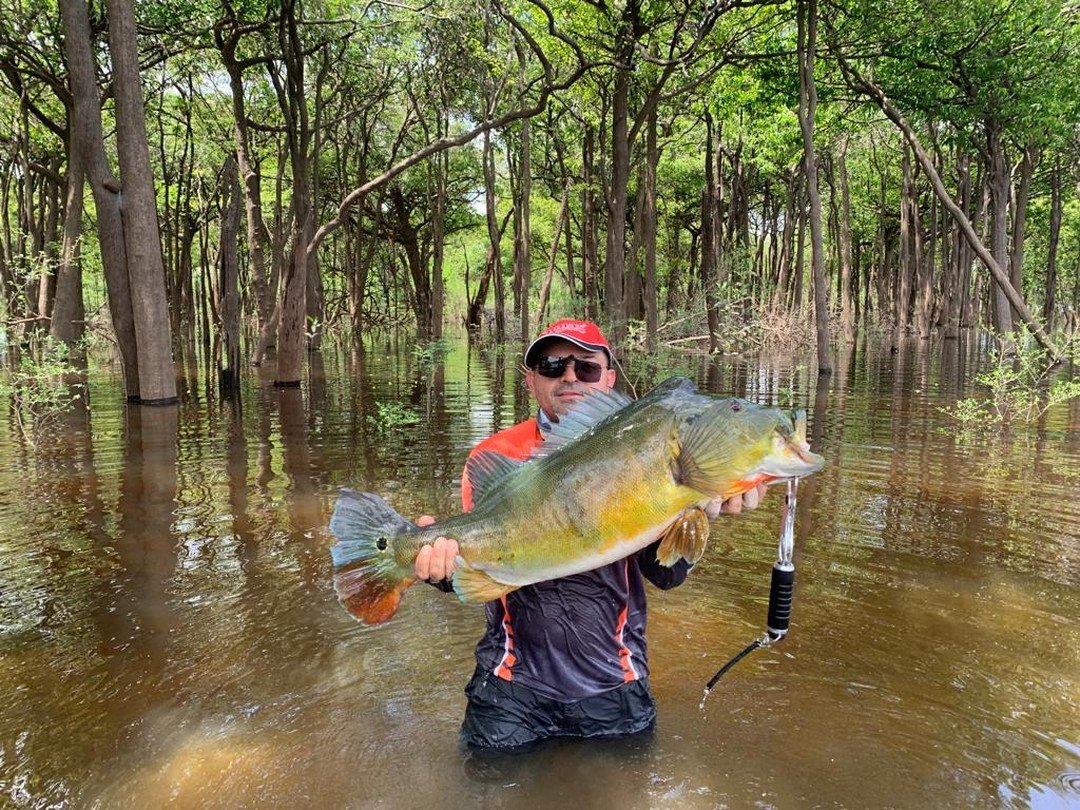 During this particular weeks fishing trip we had yet to catch a monster Peacock. Therefore, we decided to go further off the beaten path, to camp for a few days at our satellite camp. This turned out to be the right decision to make as we hauled in t