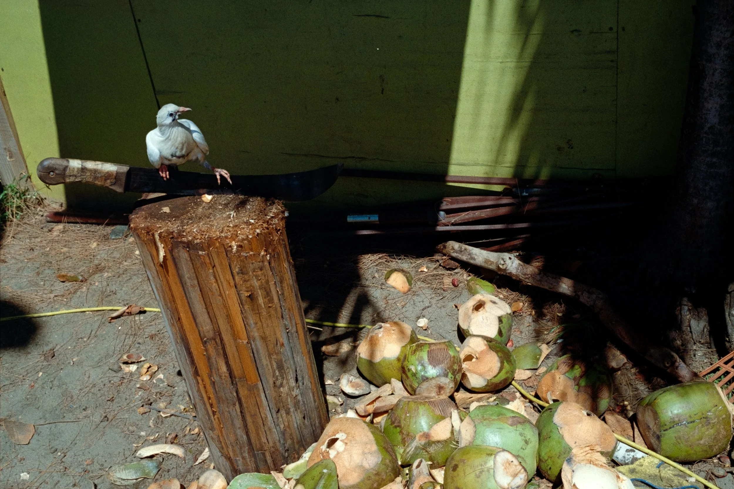 Puerto Rico Documentary Film Photographer 6.jpg