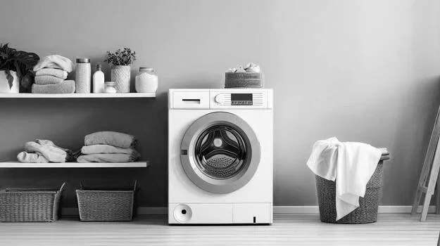 Premium laundry care services including wash and fold garment care