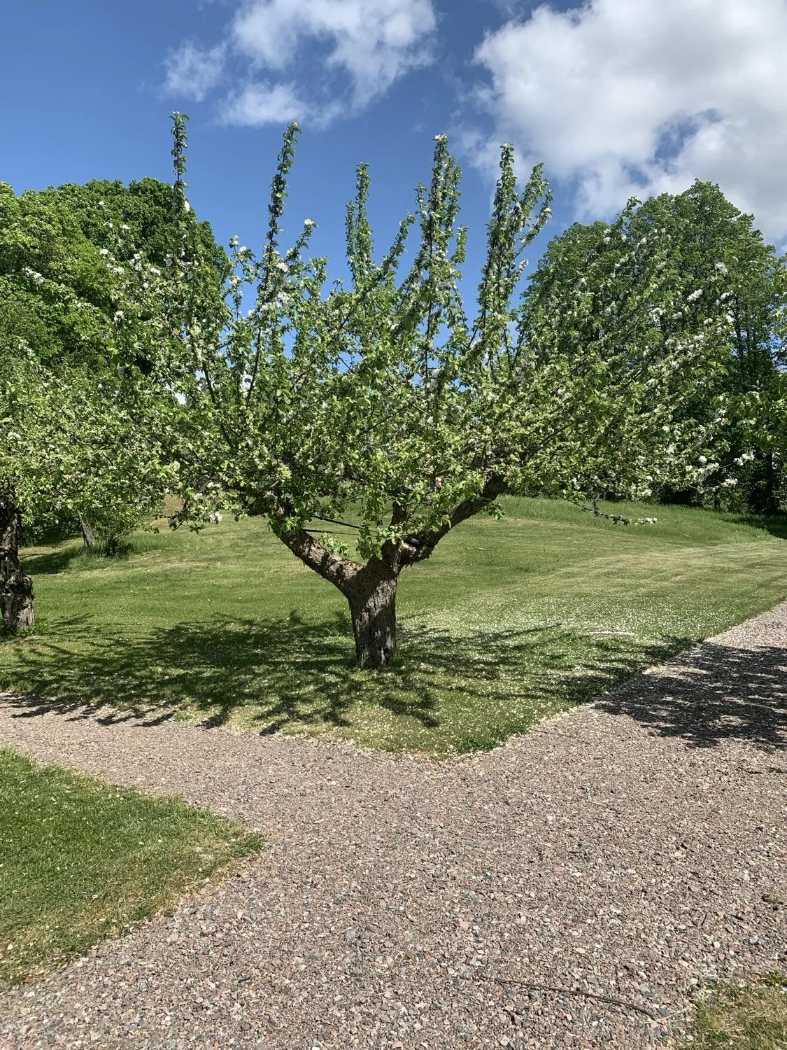 435696784_424488493516486_5745851730987101614_n.jpg