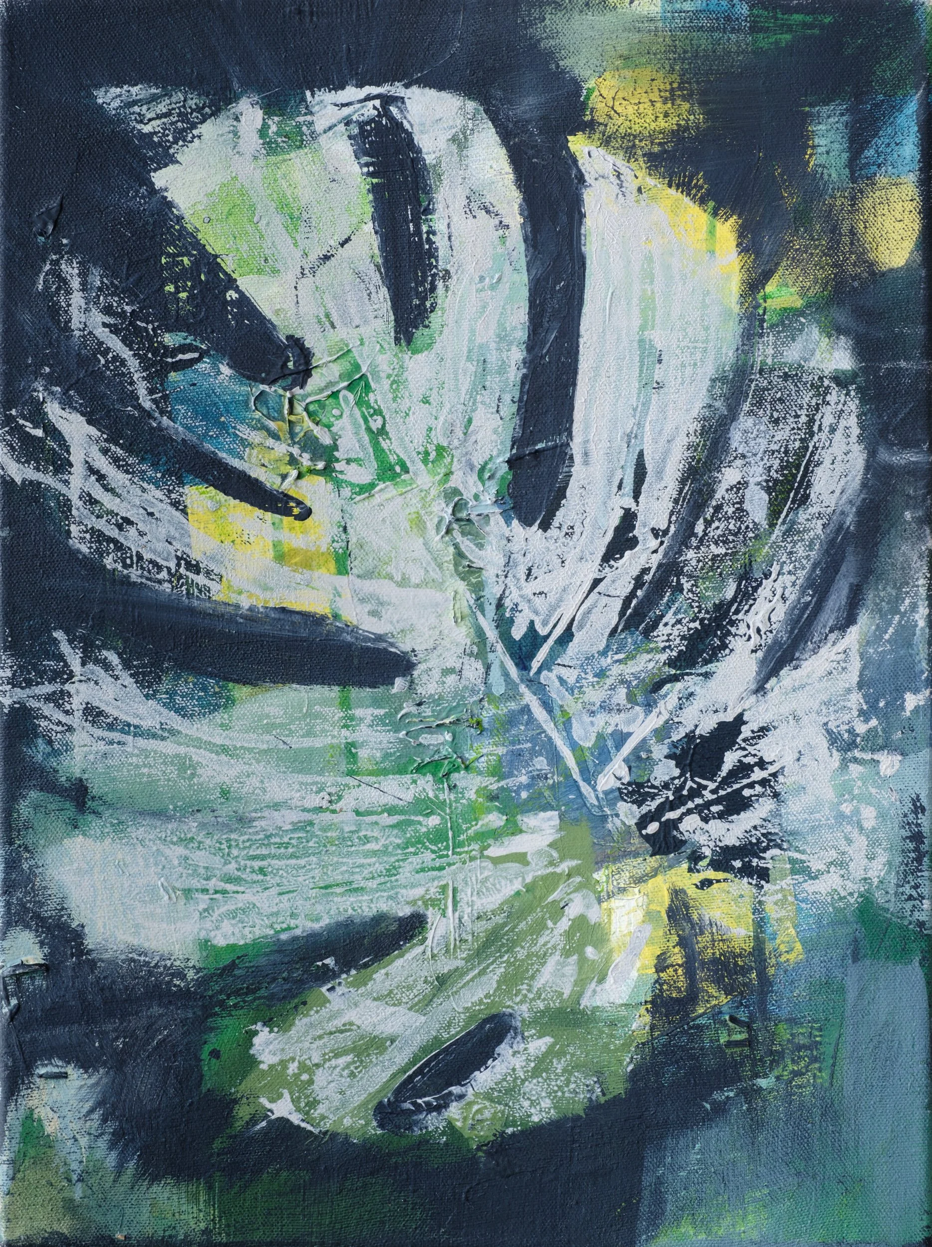 Monstera (closeup).jpg