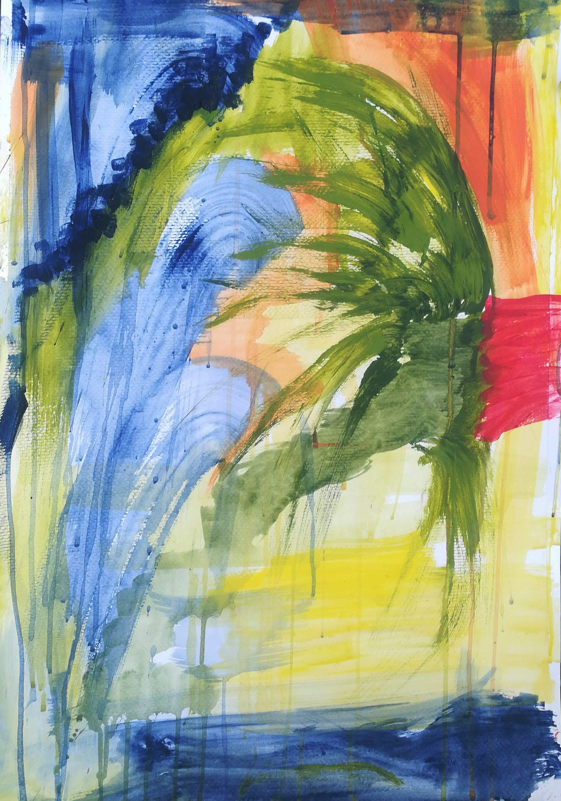 Flying Parrot,   acrylic on paper, 70 x 50 cm